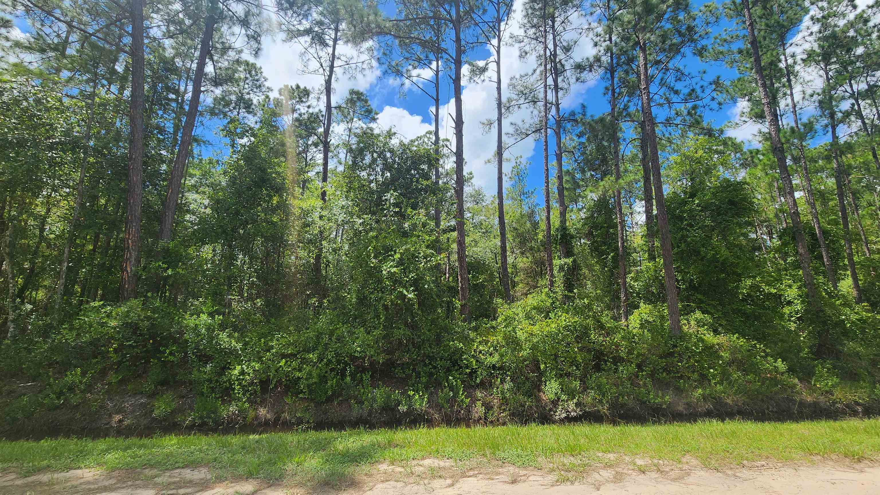 Listing Details for 0 Erickson Ave, Hastings, FL 32145