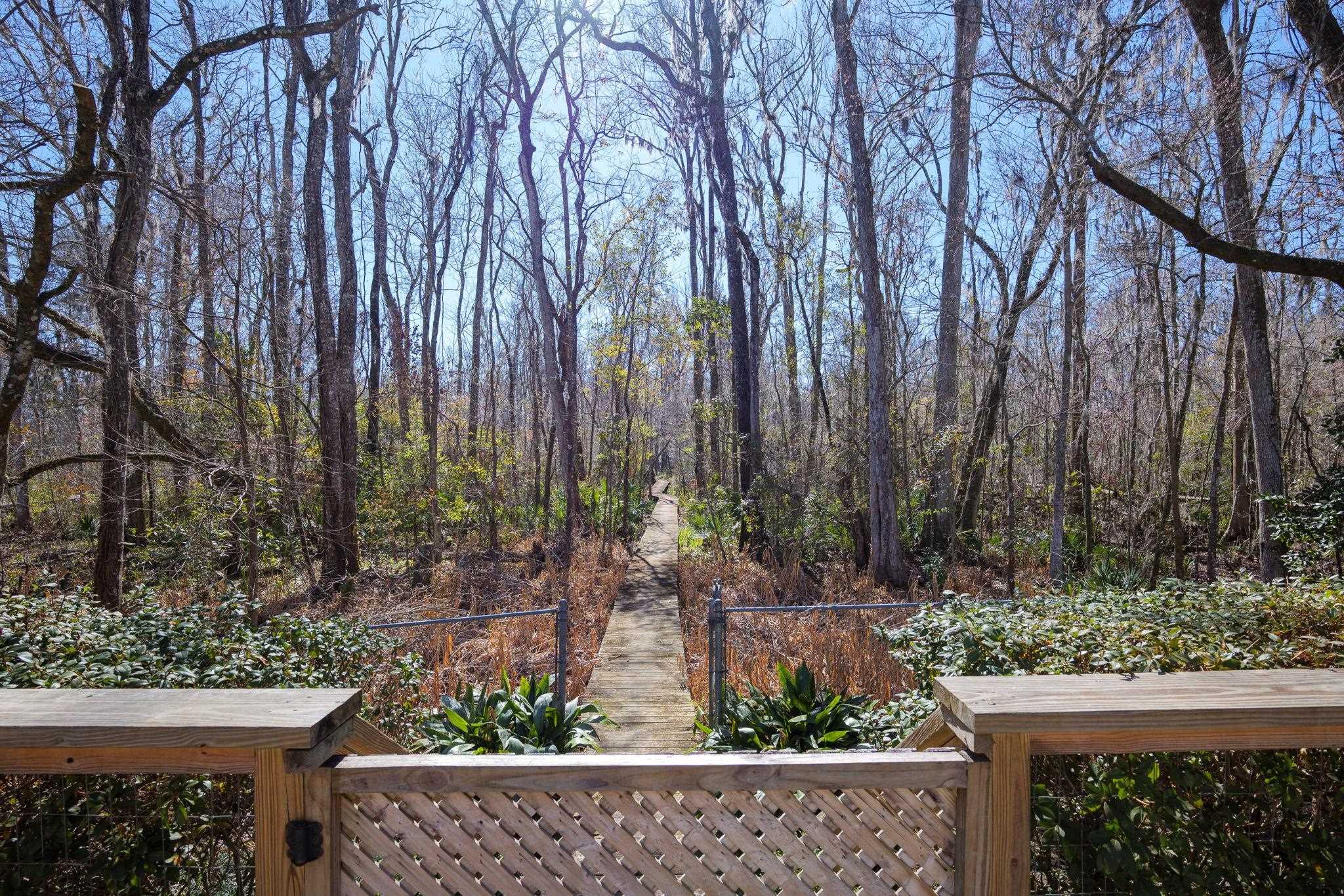 Image 43 of 47 For 4142 Burning Tree Ln