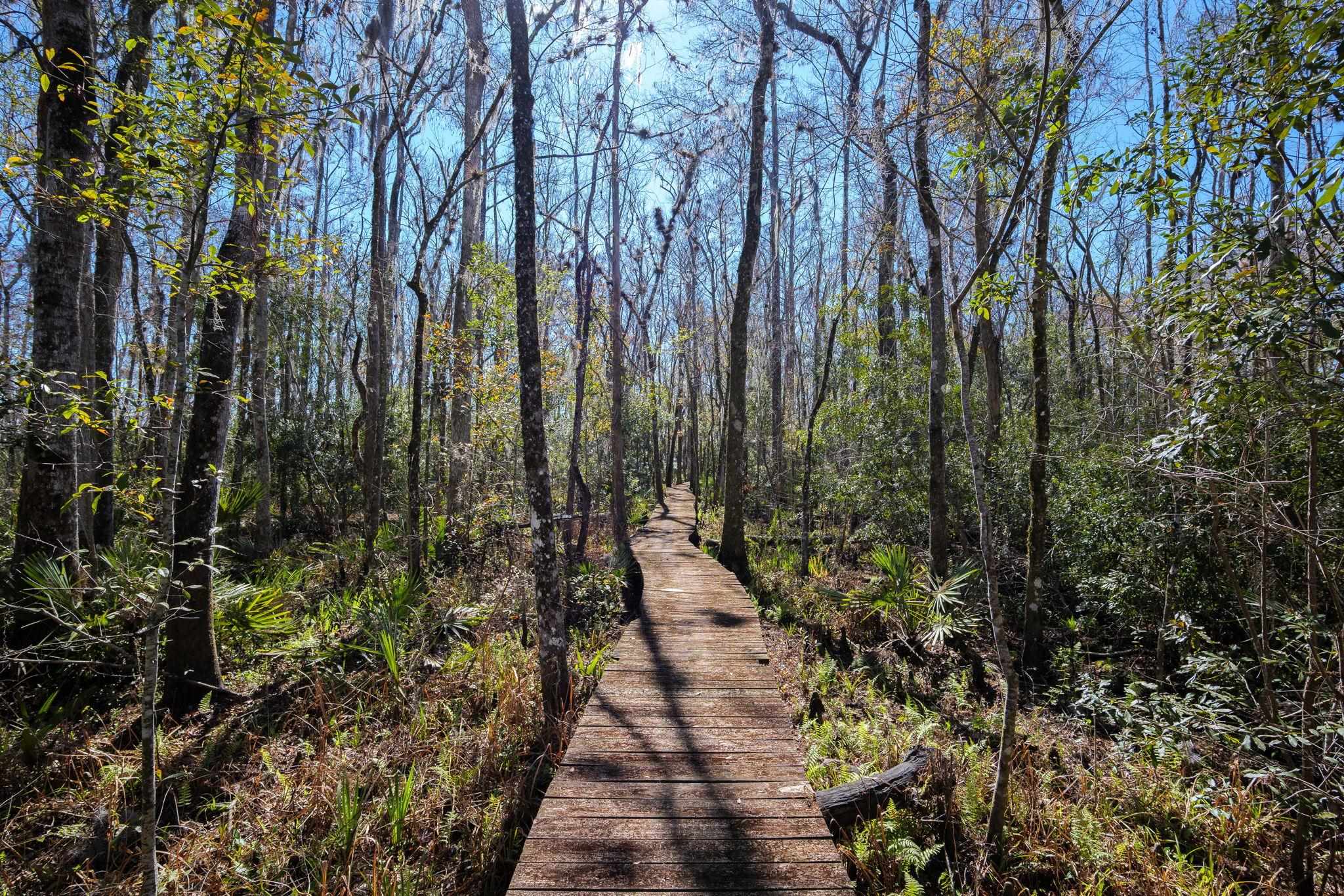 Image 45 of 47 For 4142 Burning Tree Ln