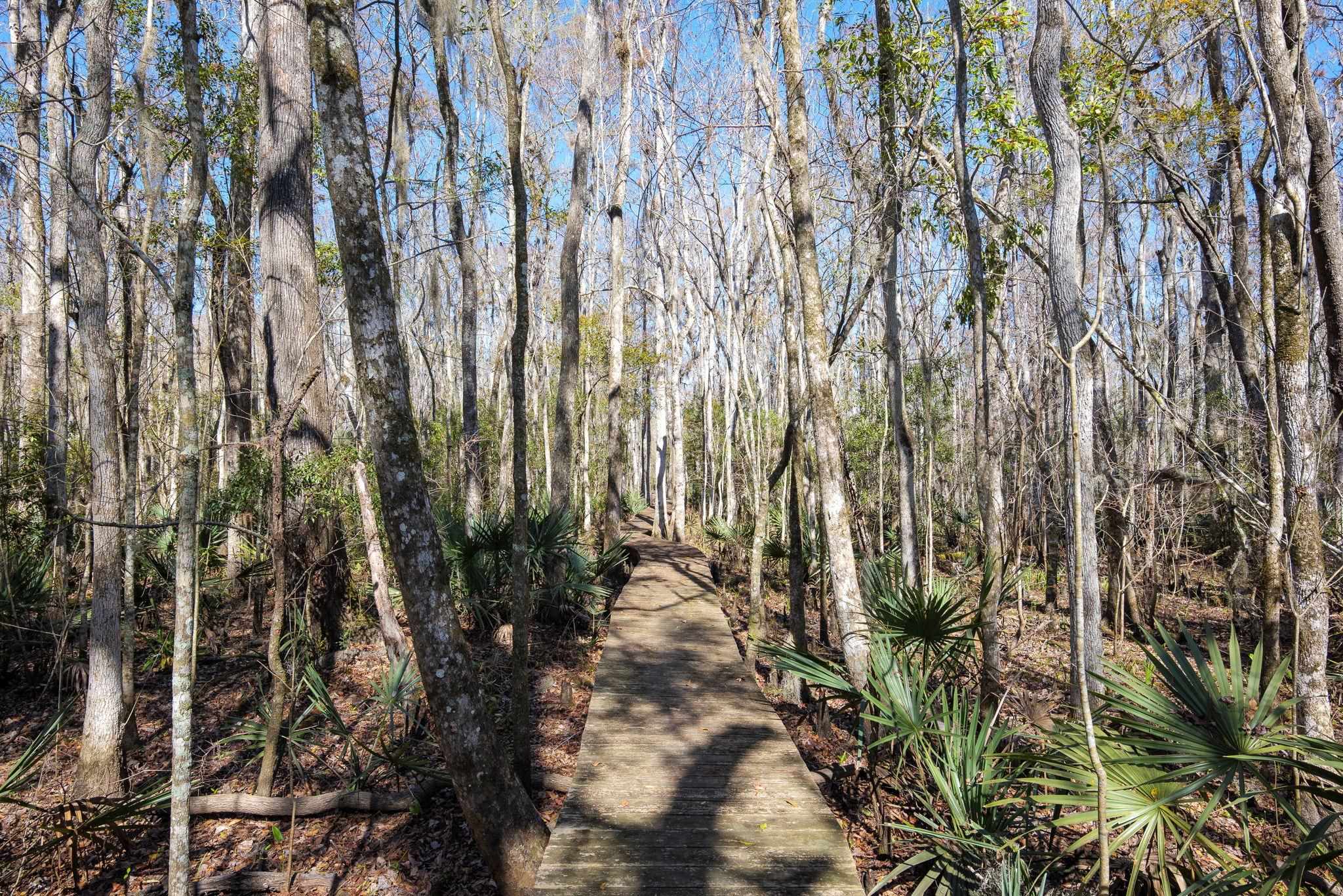 Image 46 of 47 For 4142 Burning Tree Ln