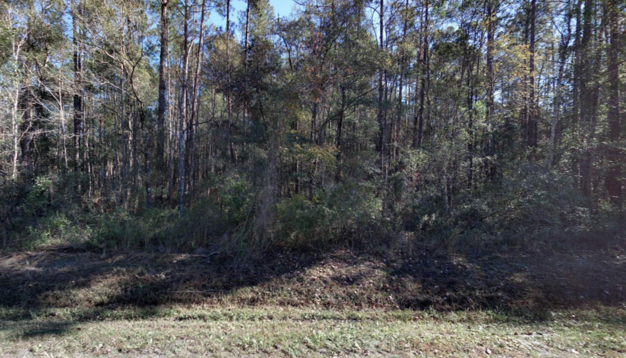 Image 5 of 8 For 10530 Flikkema Ave