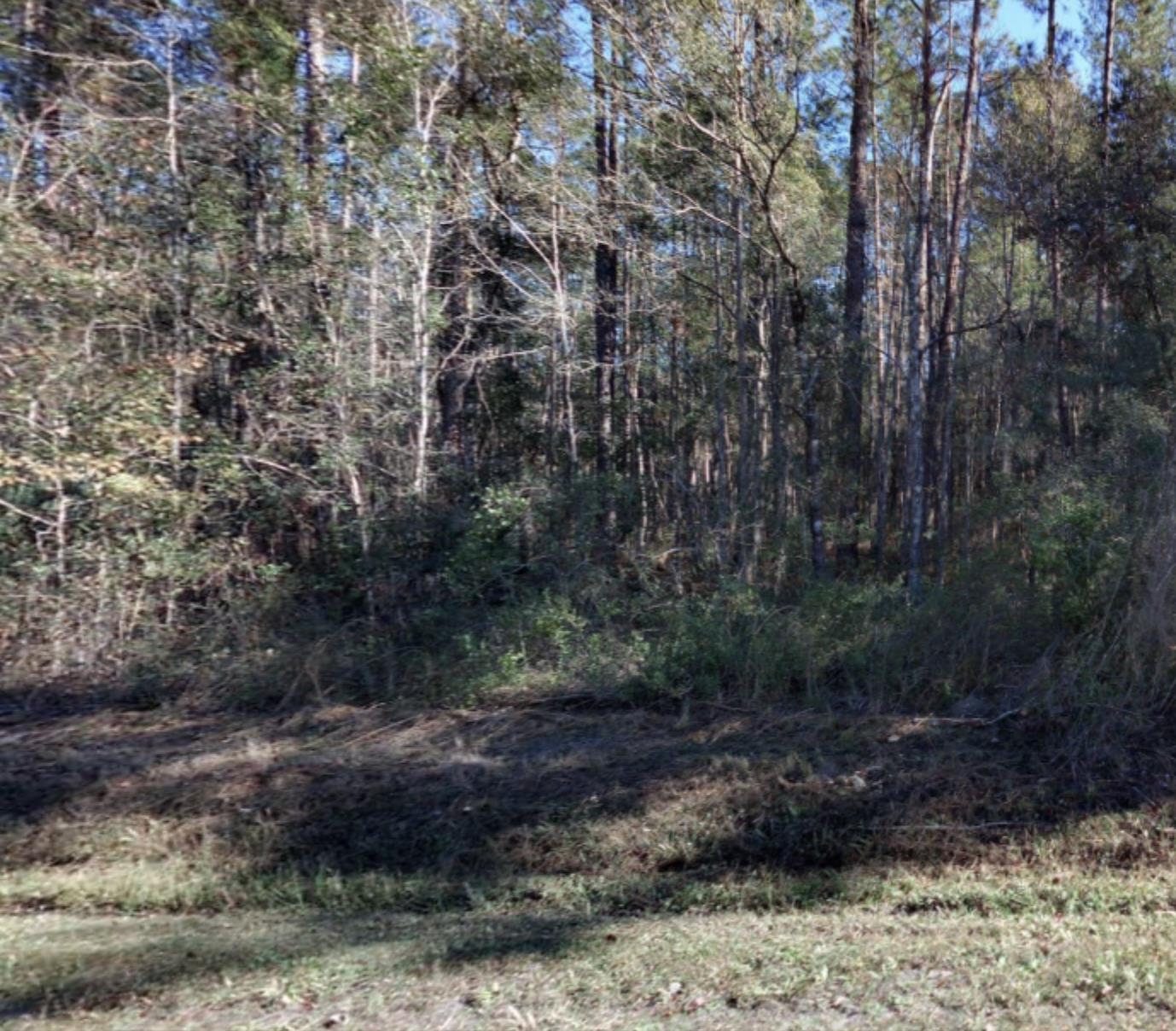 Image 6 of 8 For 10530 Flikkema Ave