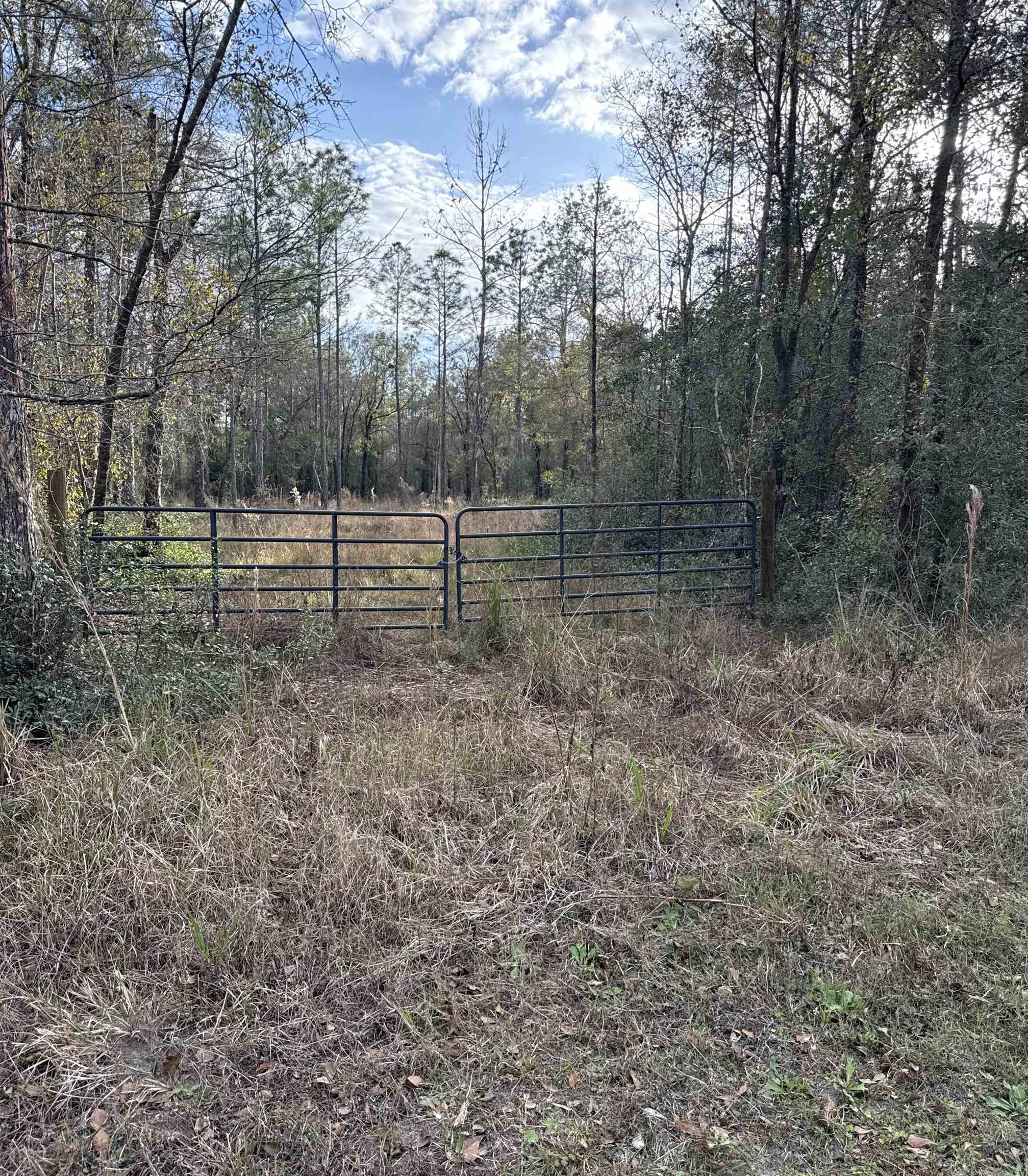 Image 3 of 3 For 4335 Isaac St