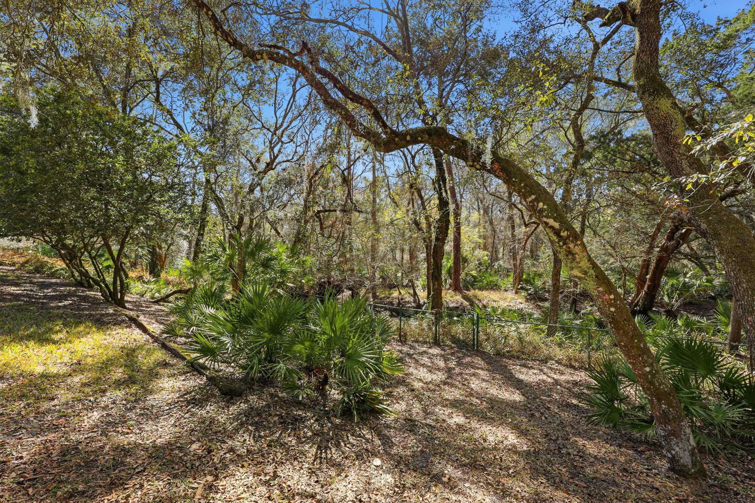 Image 59 of 90 For 3577 Red Cloud Trl