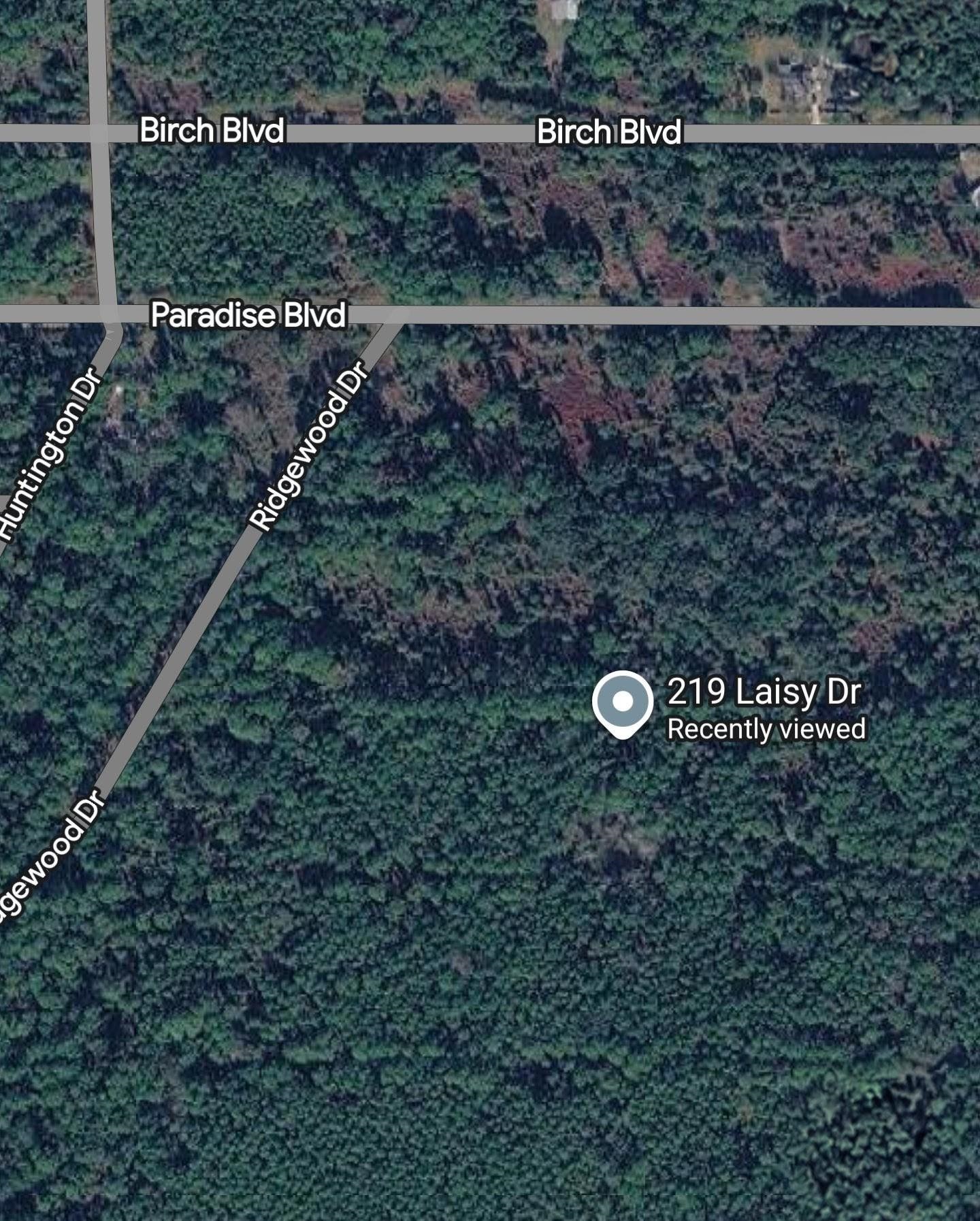 Details for 219 Laisy Dr, Georgetown, FL 32139