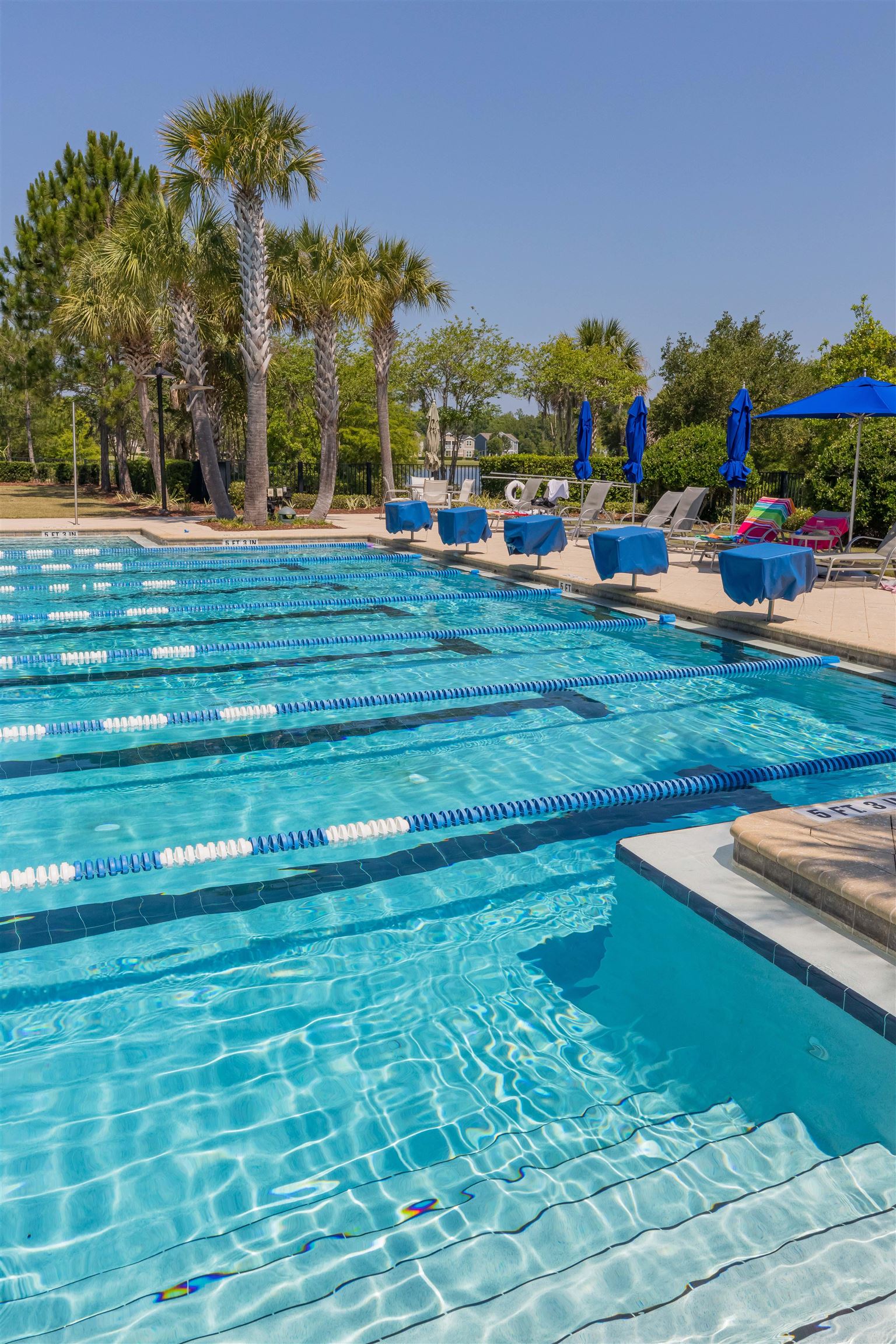 Image 50 of 53 For 34 Arrowwood Dr