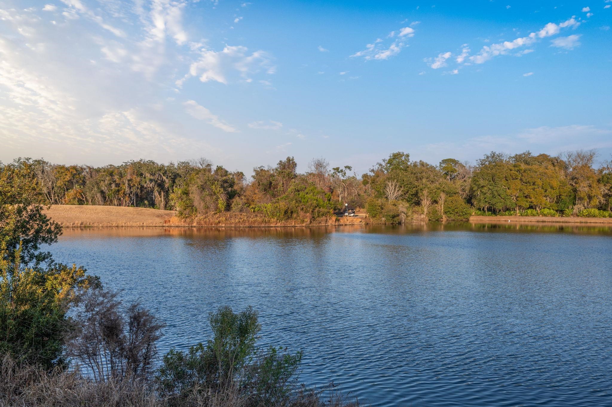 Image 80 of 92 For 168 Spanish Marsh Dr