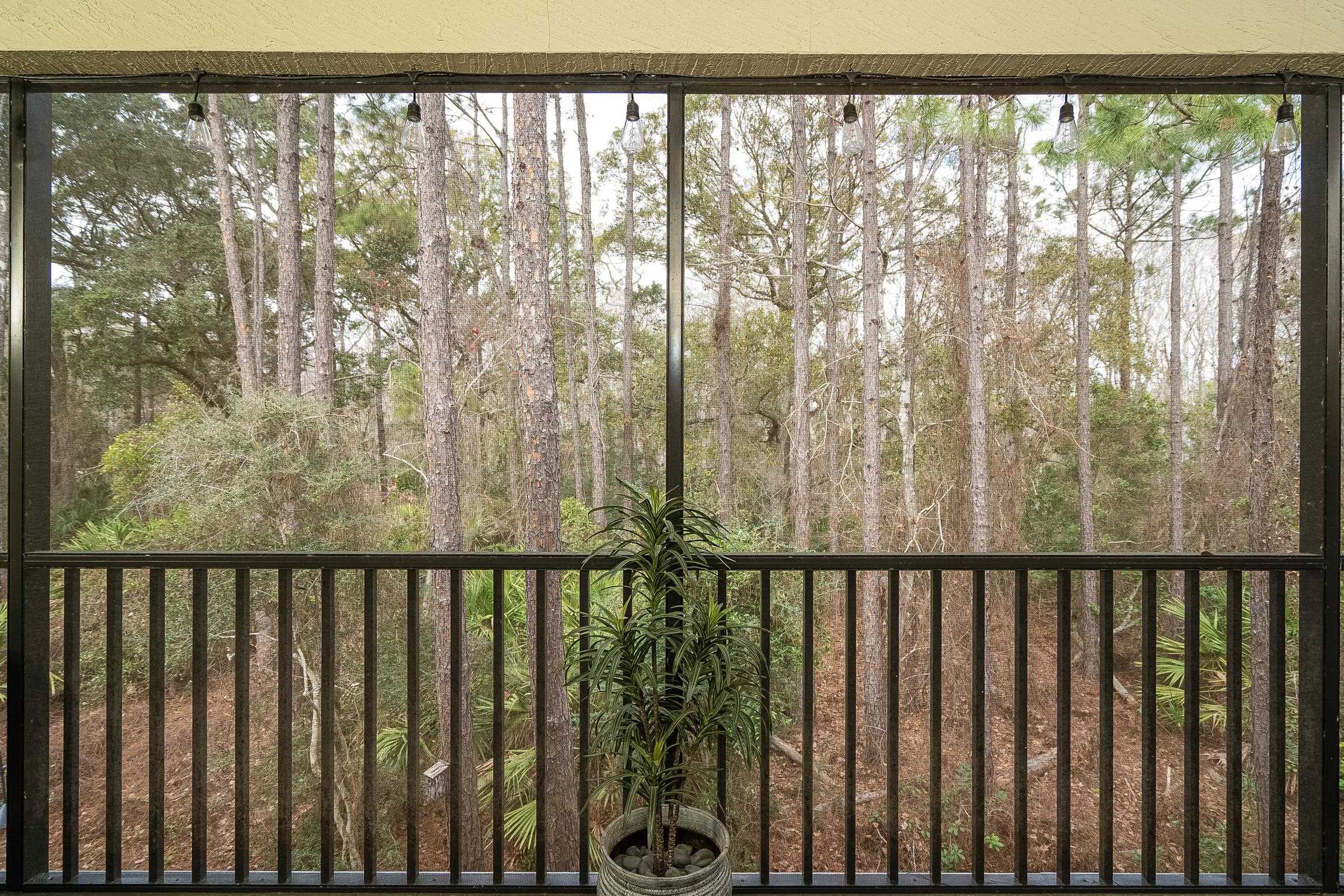 Image 17 of 47 For 107 Canyon Trail