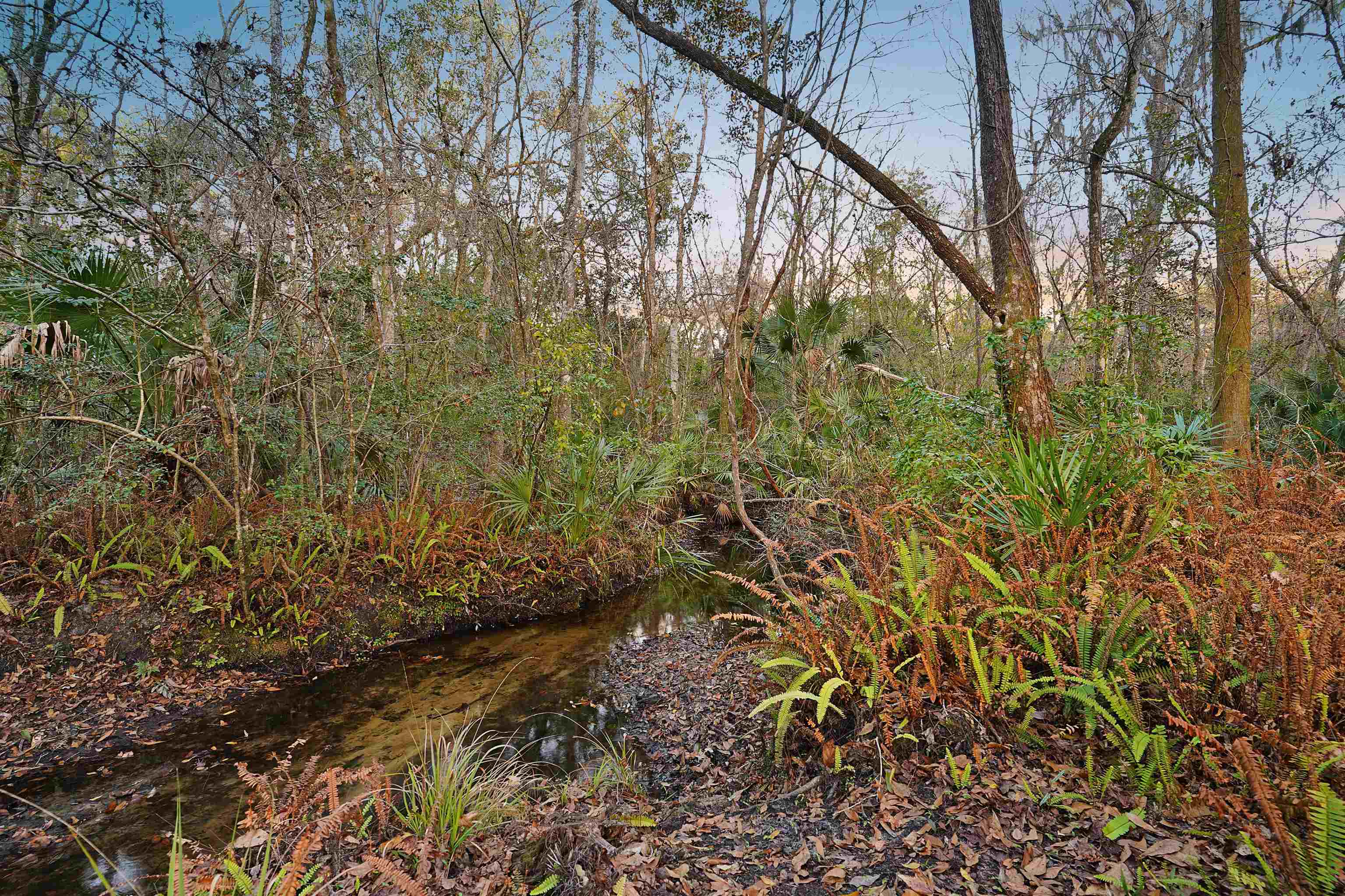 Image 47 of 49 For 3020 Mac Rd  