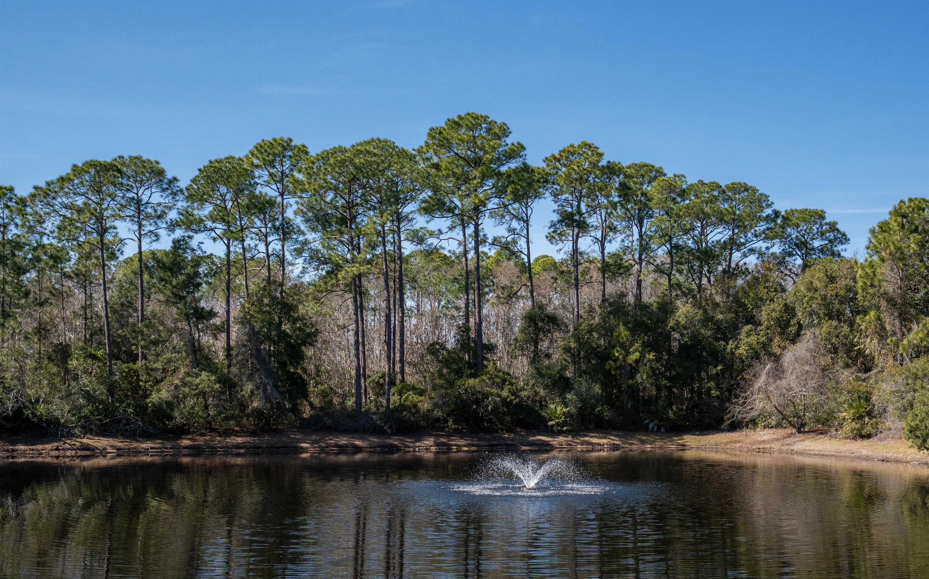 Image 30 of 46 For 440 Villa San Marco Dr S 104