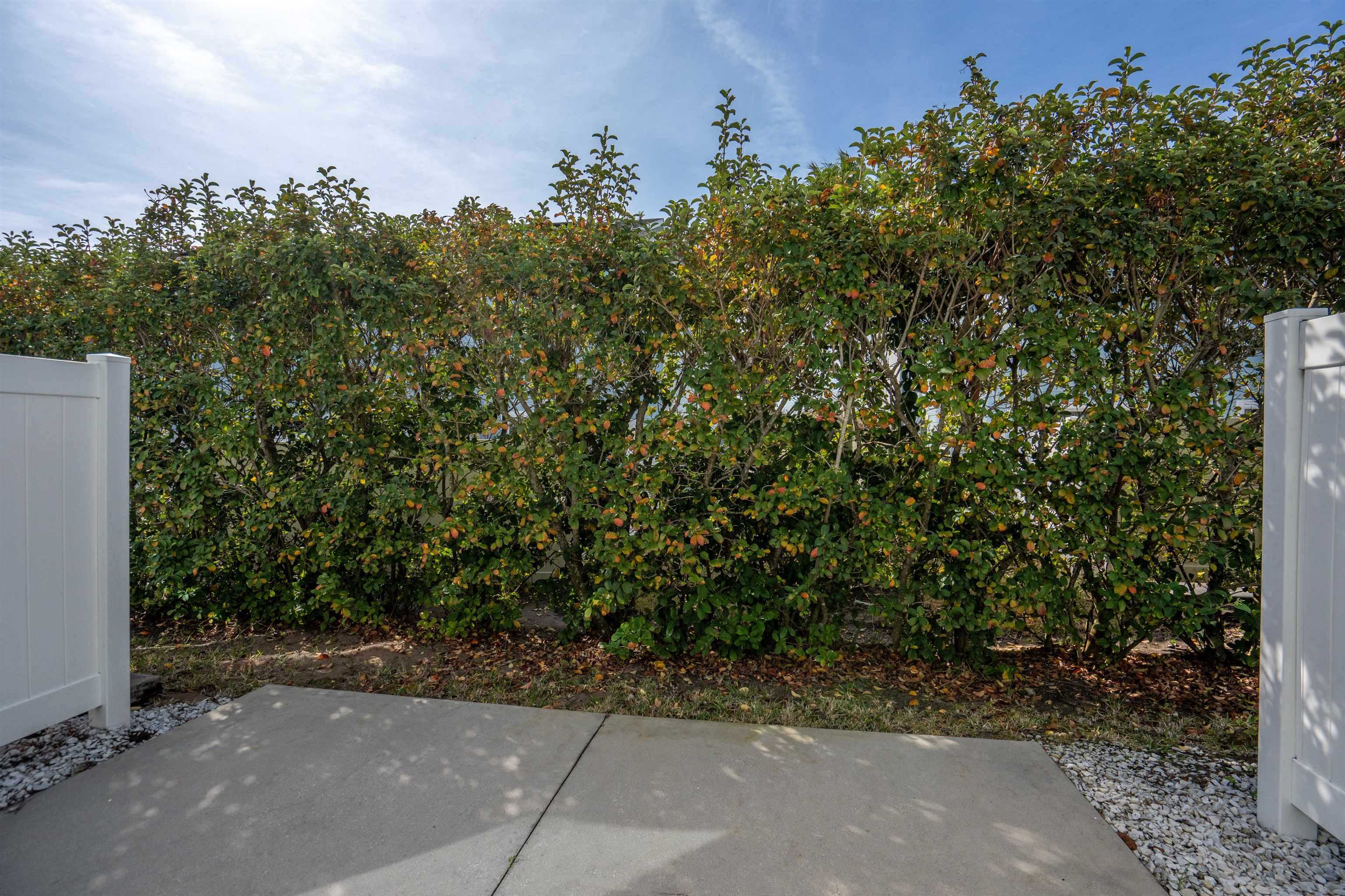 Image 25 of 35 For 24 Islander Ct