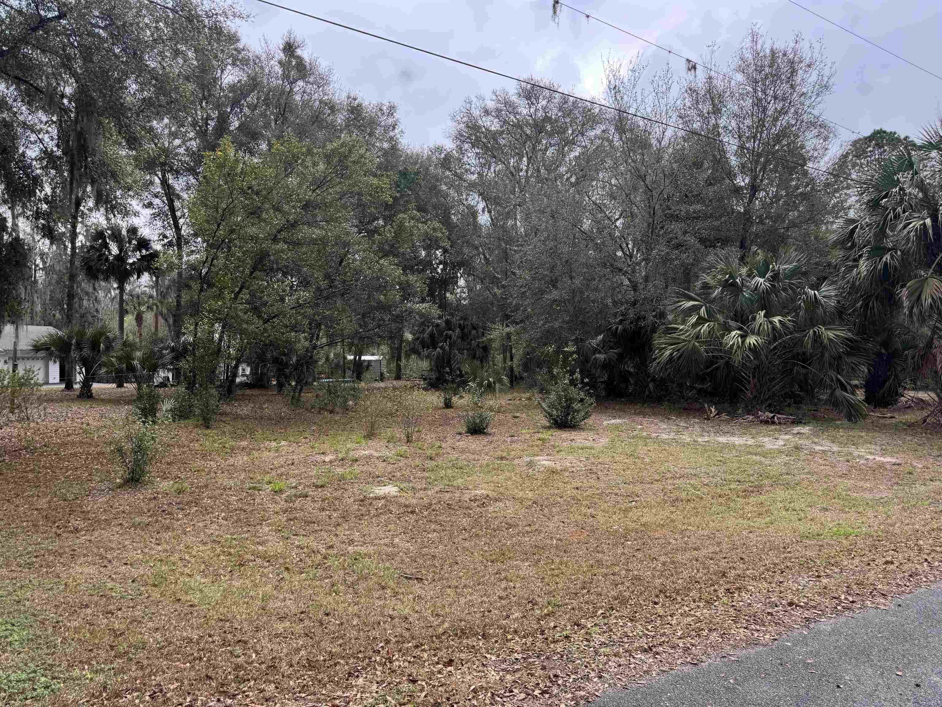 Image 2 of 5 For 116 Orange Tree Dr