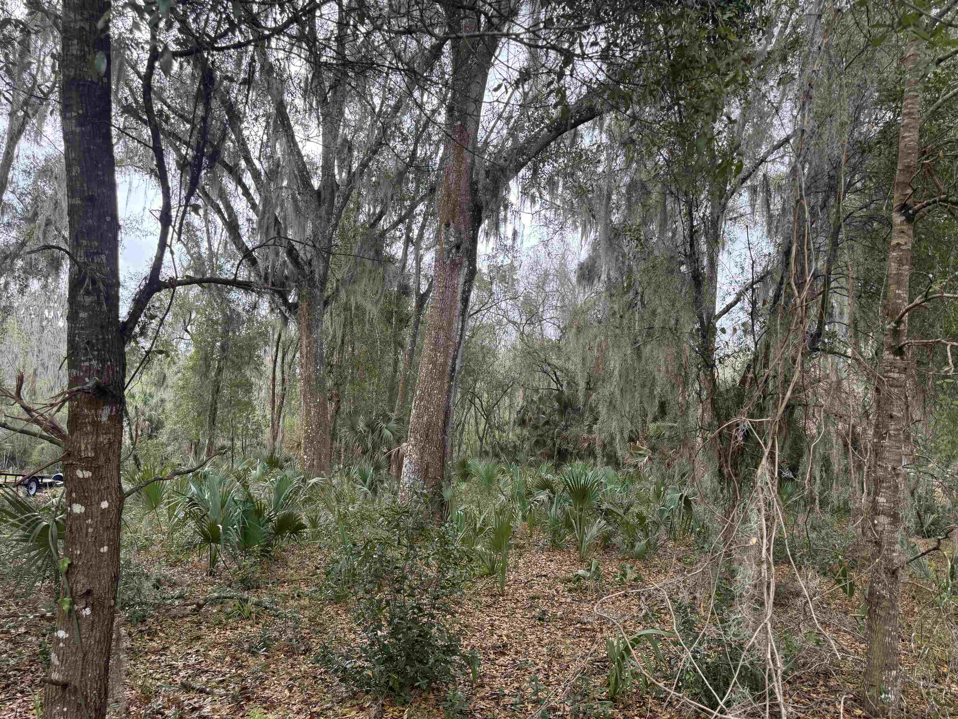 Image 5 of 5 For 116 Orange Tree Dr