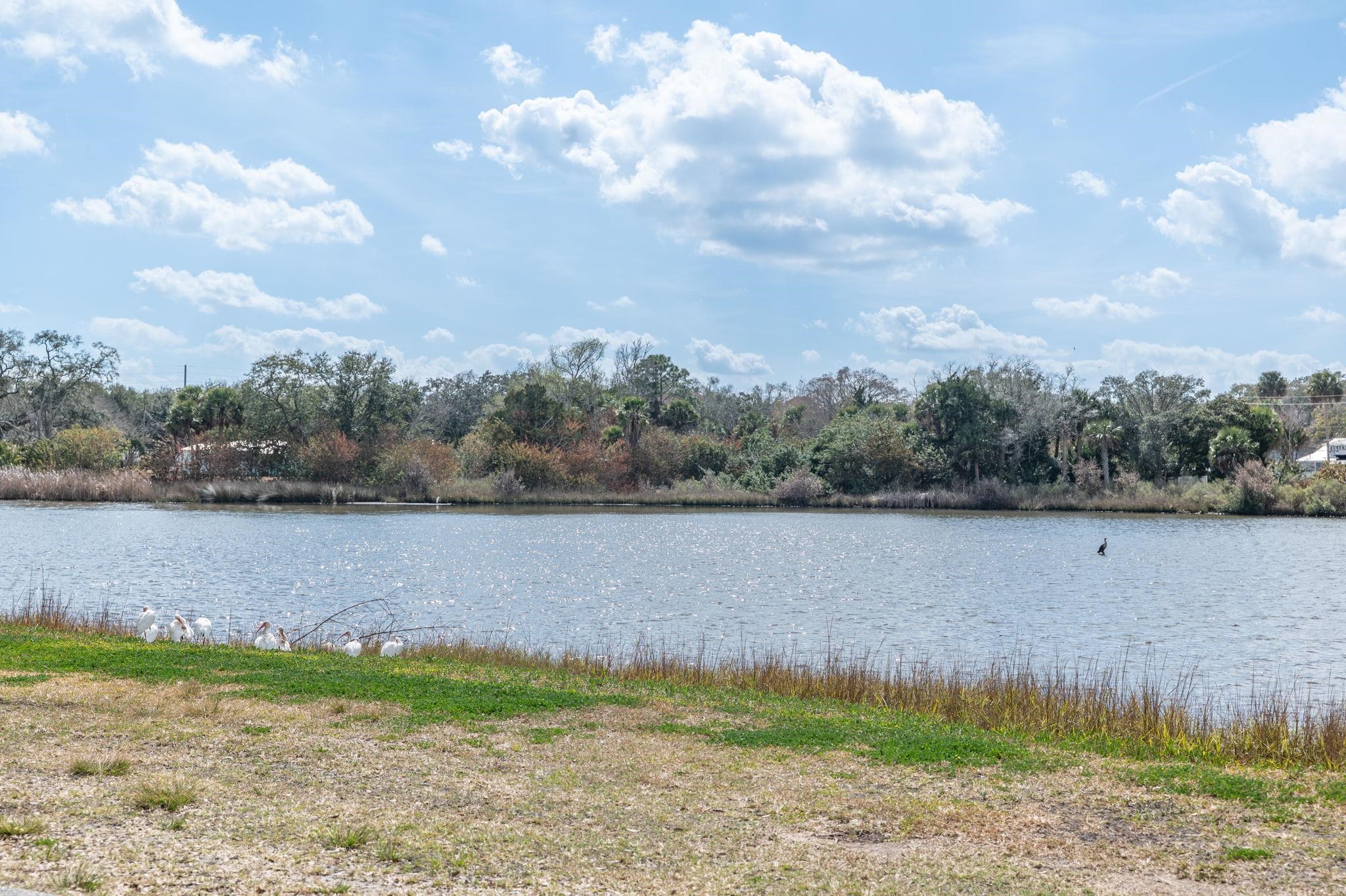 Image 61 of 75 For 59 Lewis Blvd