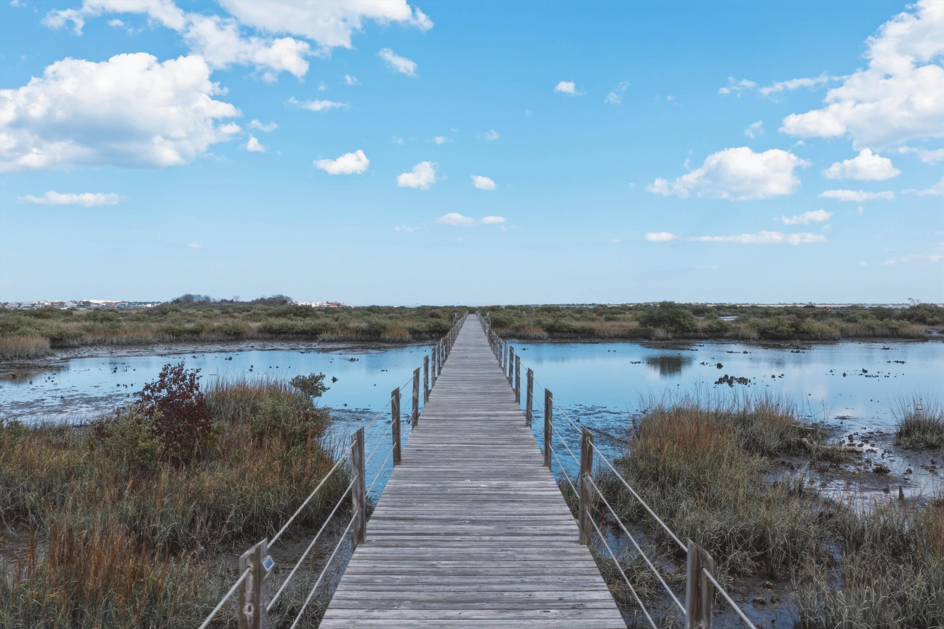 Image 37 of 44 For 1 Radio Rd  202