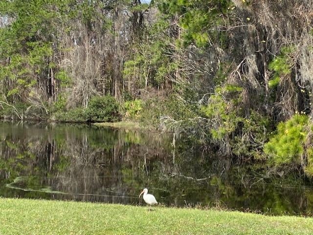 Image 9 of 76 For 5161 Cypress Links Blvd