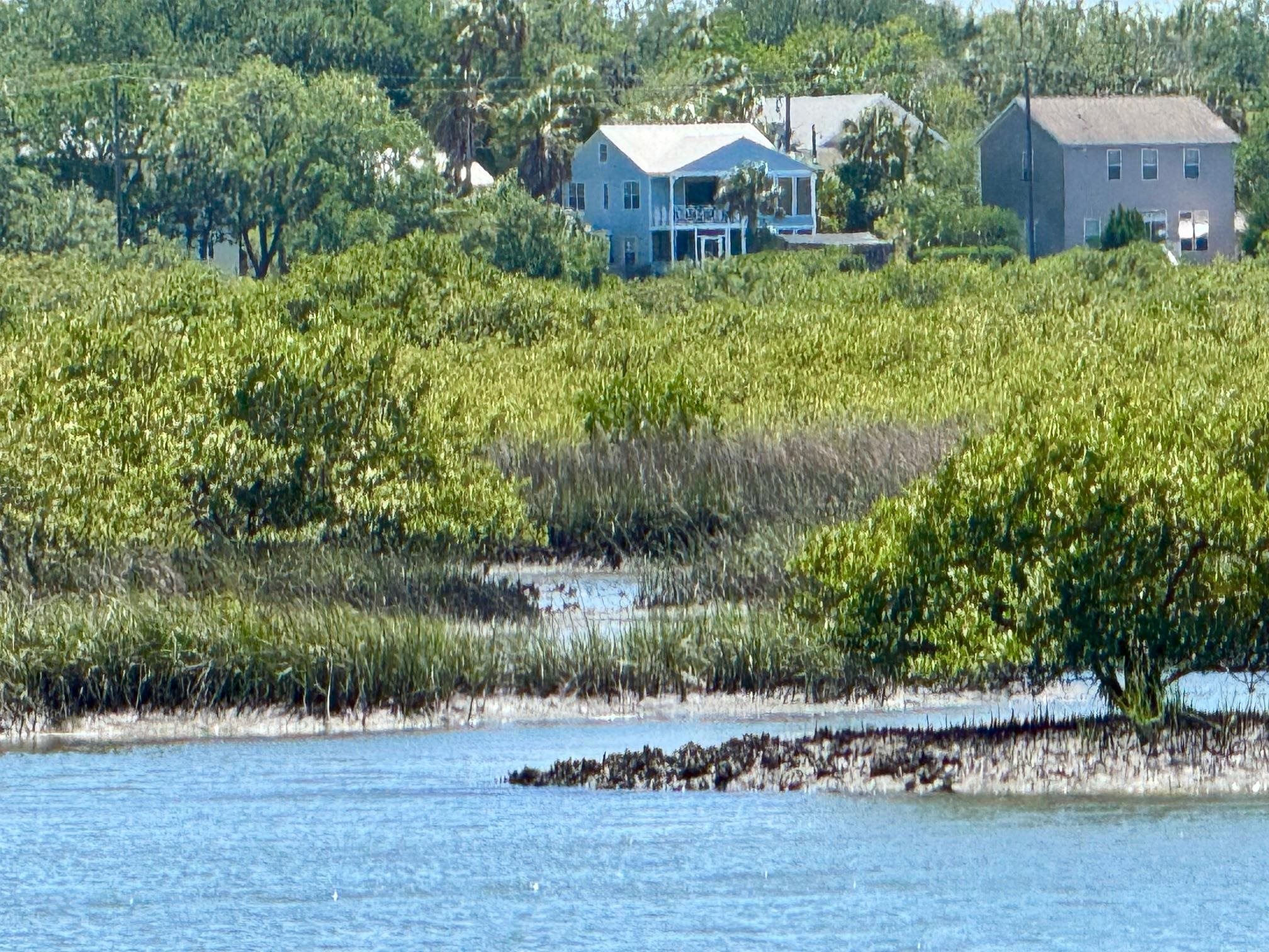 Image 78 of 79 For 232 Riberia St