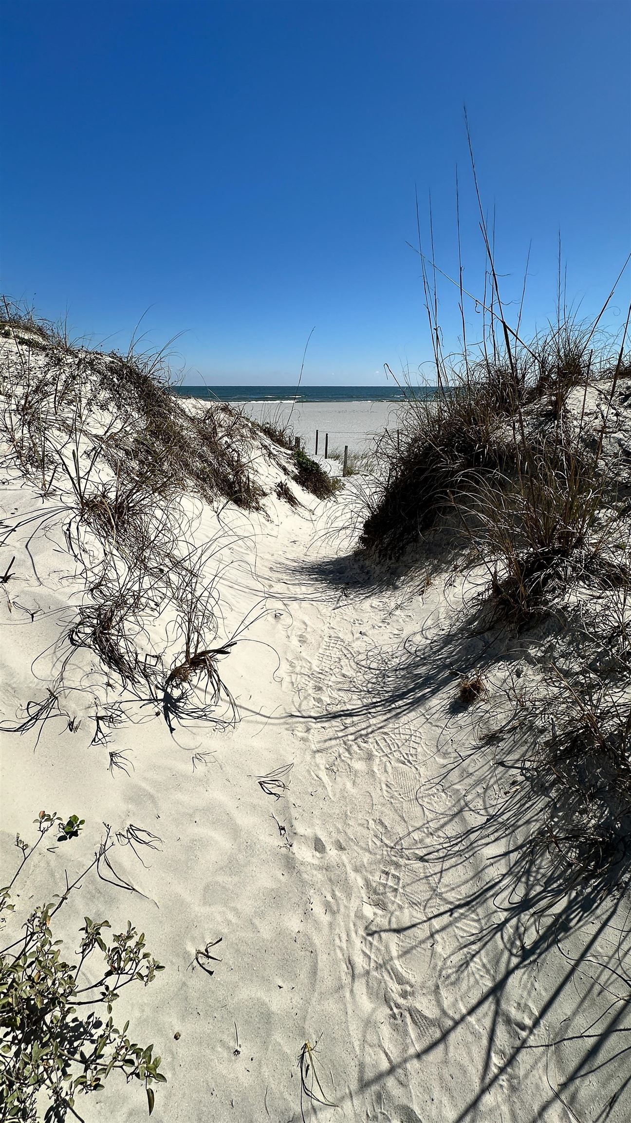 Image 43 of 72 For 2 11th Street