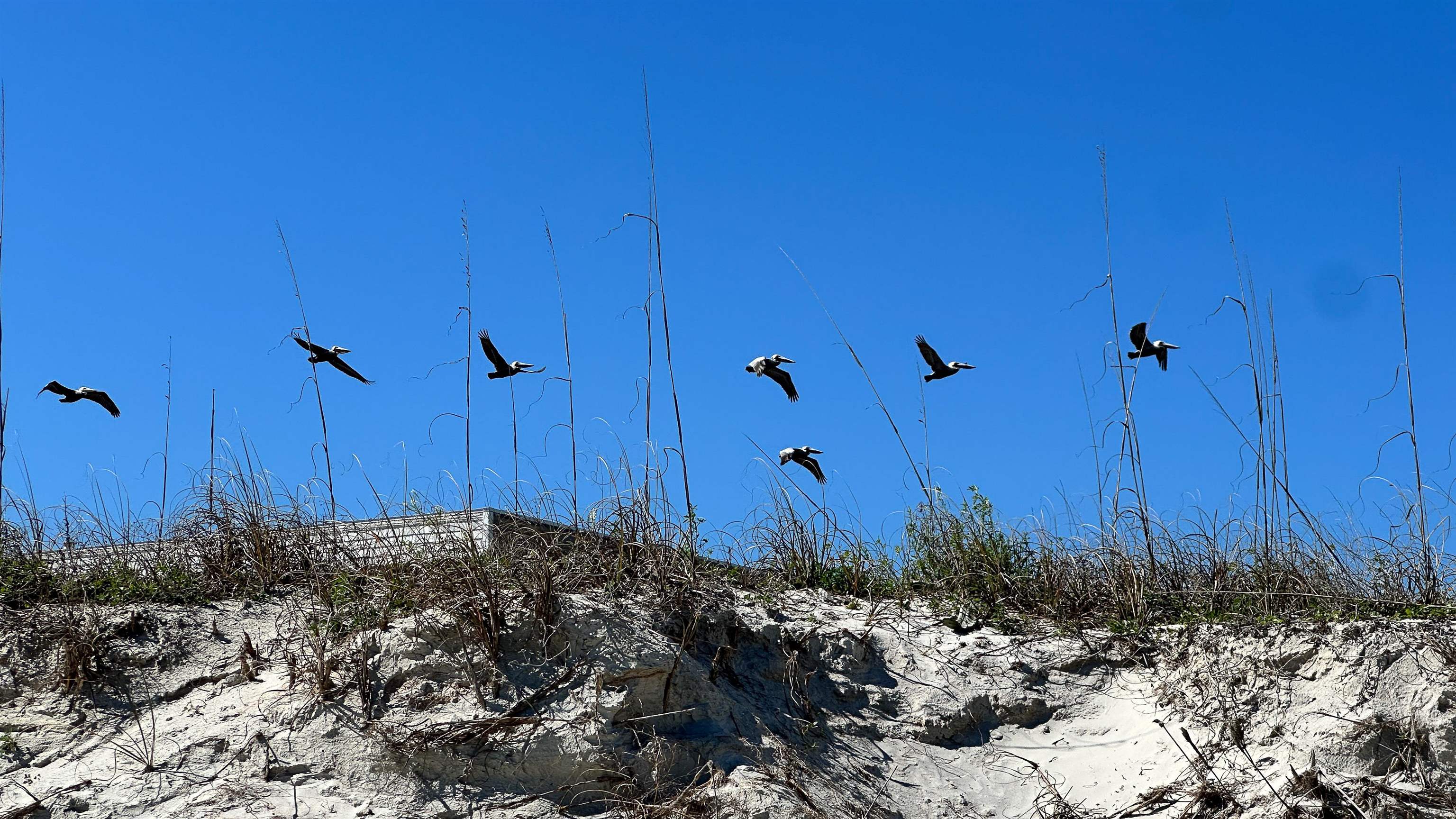 Image 9 of 72 For 2 11th Street