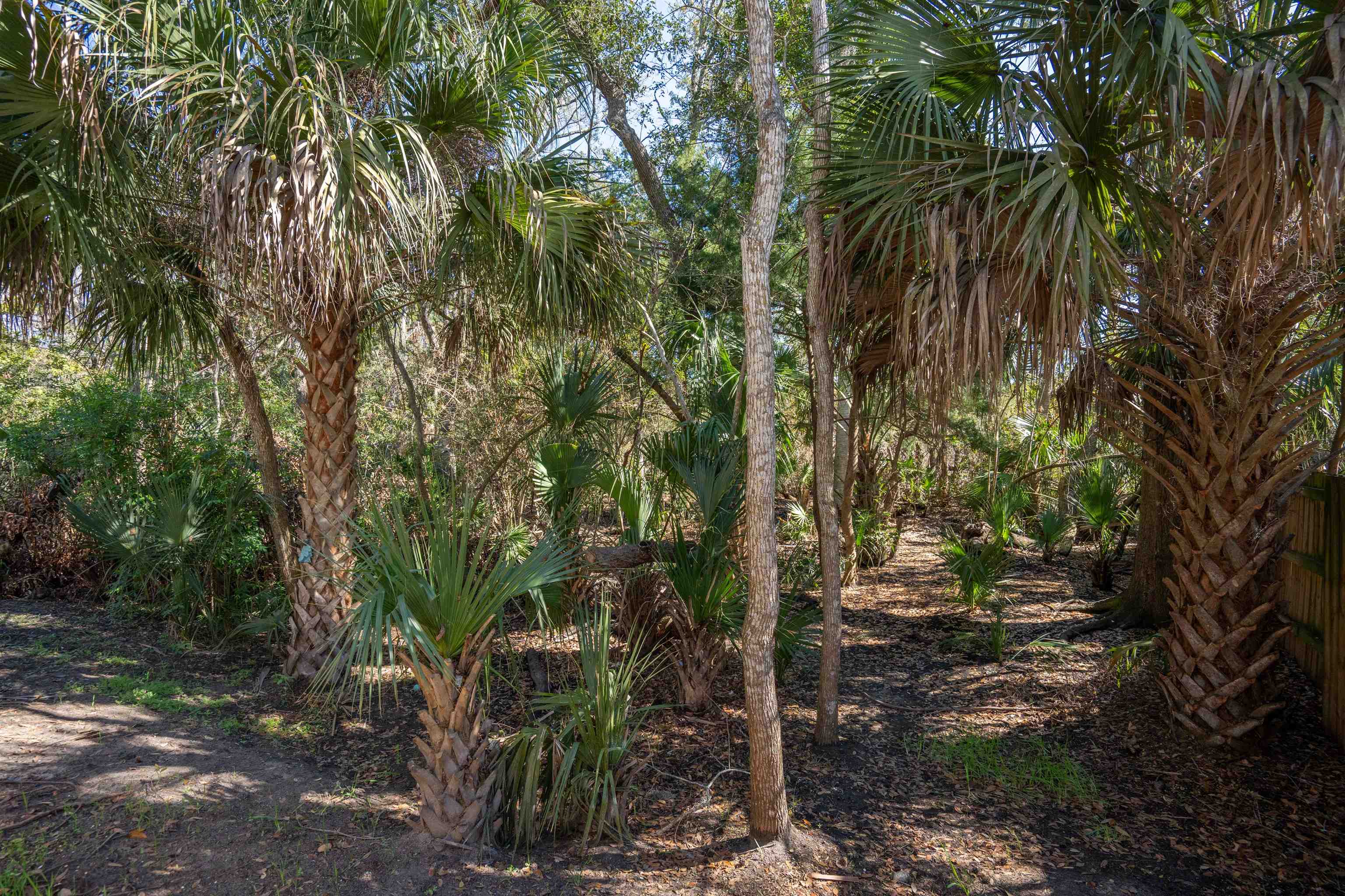 Image 40 of 41 For 236 Nesmith Avenue