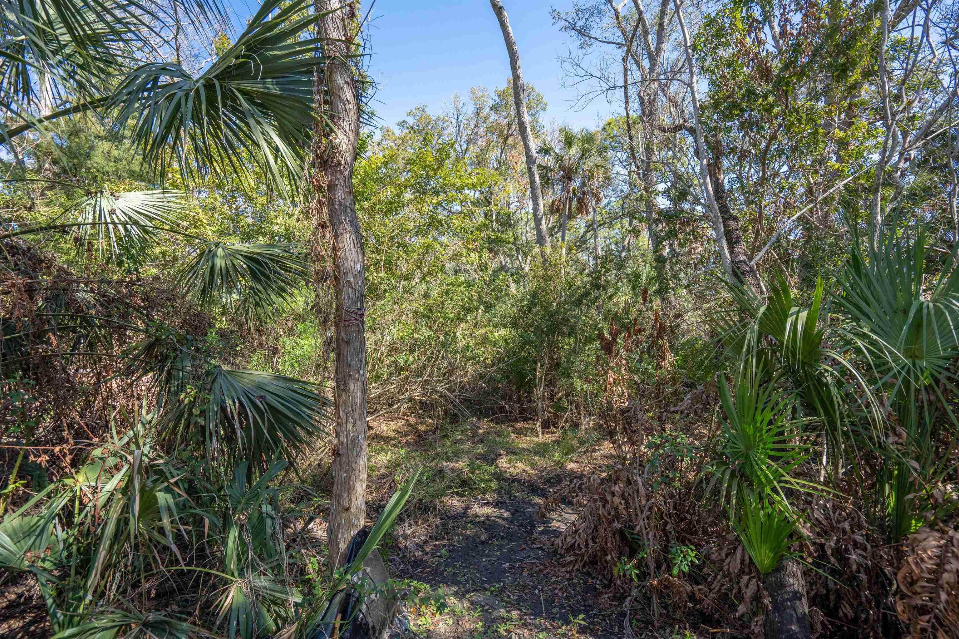 Image 41 of 41 For 236 Nesmith Avenue