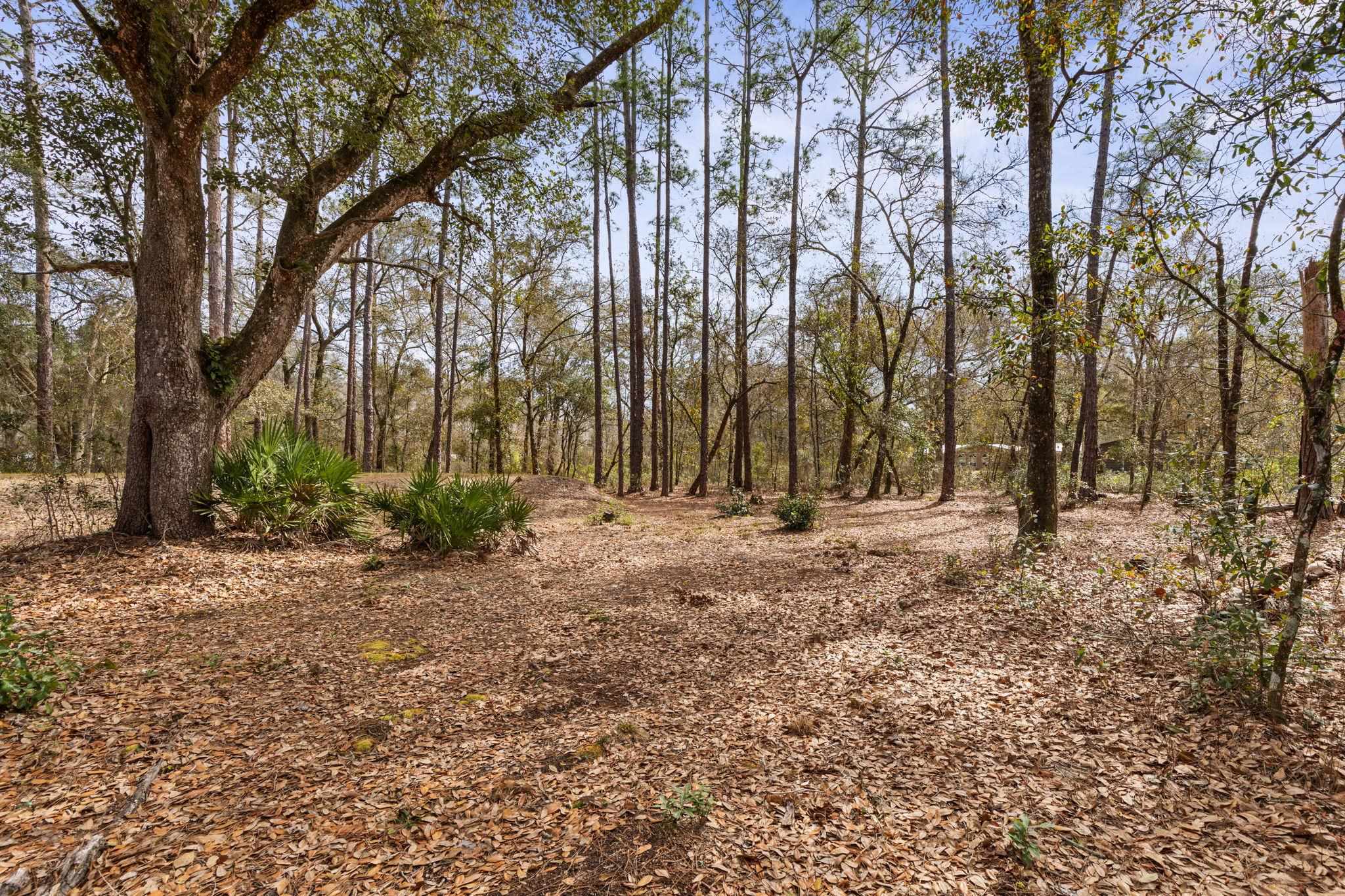 Image 57 of 83 For 5055 Flagler Estates Blvd