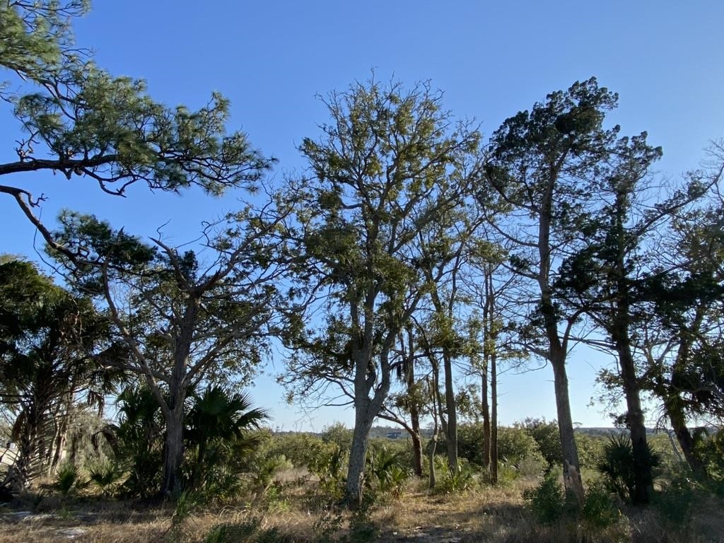 Image 12 of 21 For 220 Pelican Reef Dr