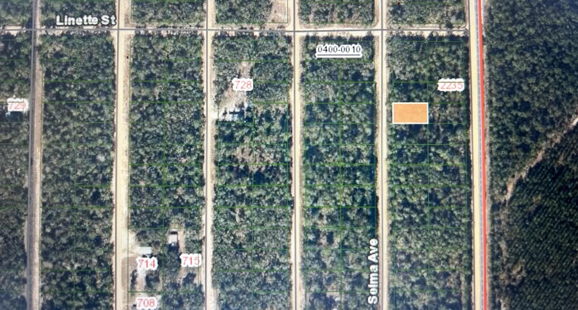 Listing Details for 0c Selma Ave, Interlachen, FL 32148