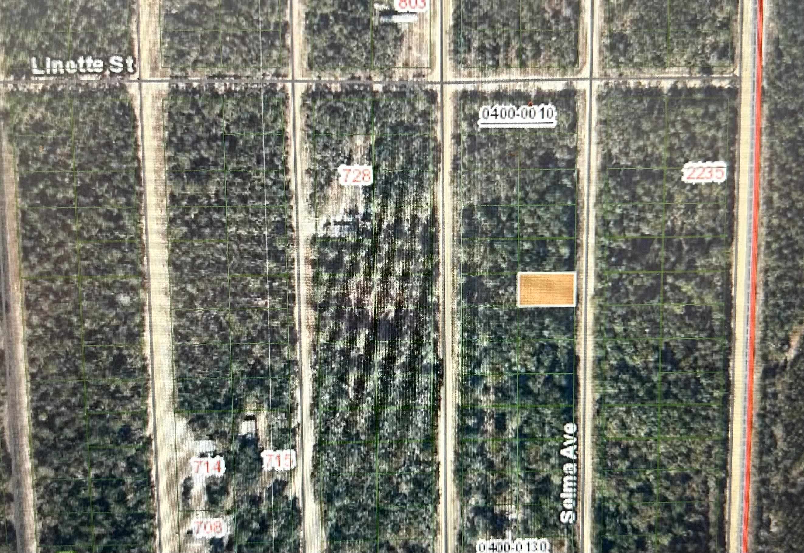 Listing Details for 0b Selma Ave, Interlachen, FL 32148