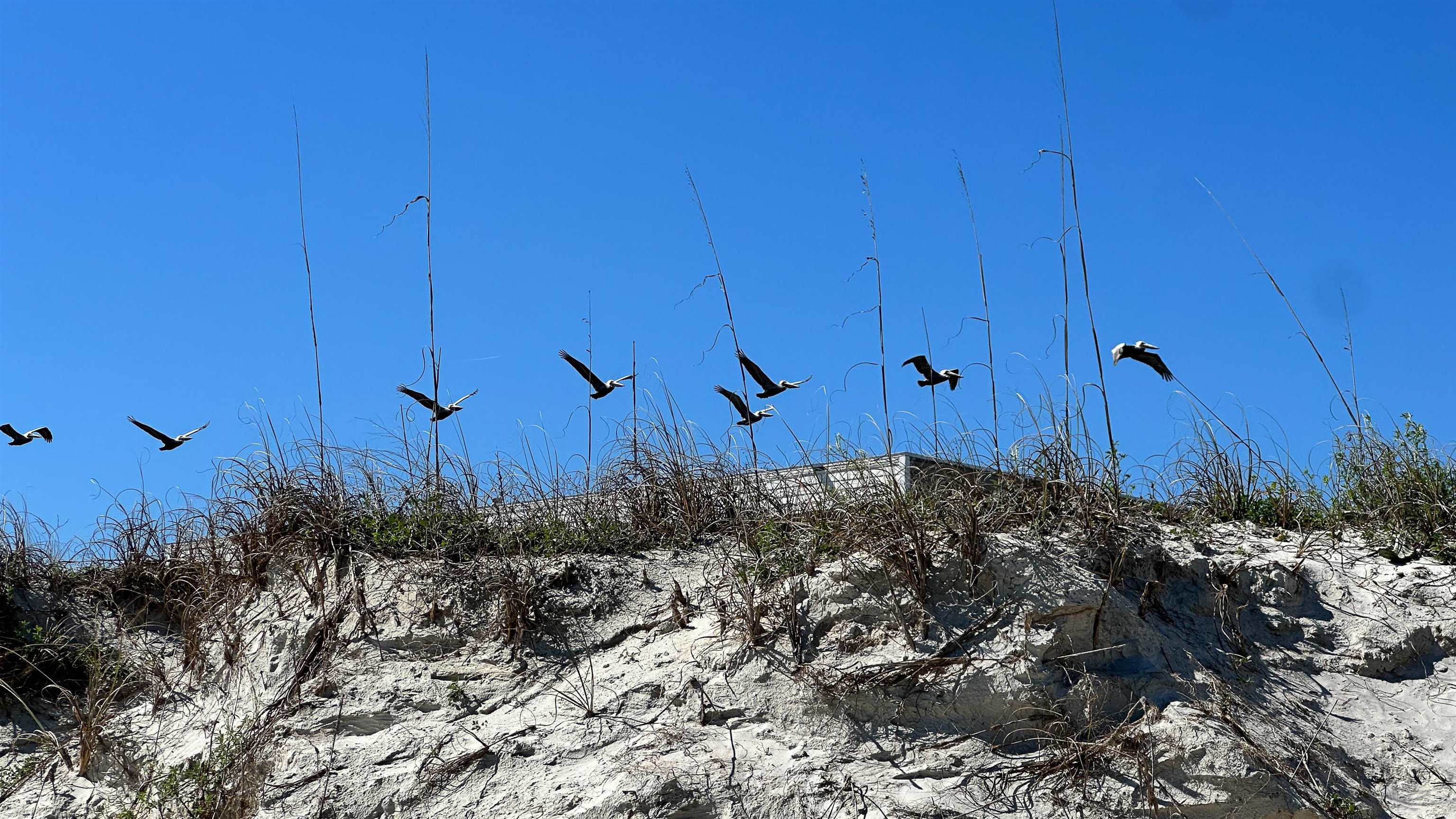 Image 4 of 40 For 2 11th Street