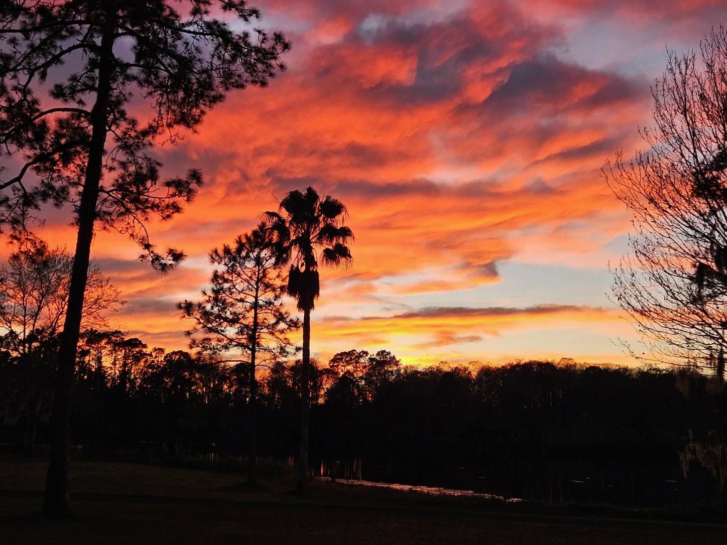 Image 89 of 97 For 1880-a County Road 214