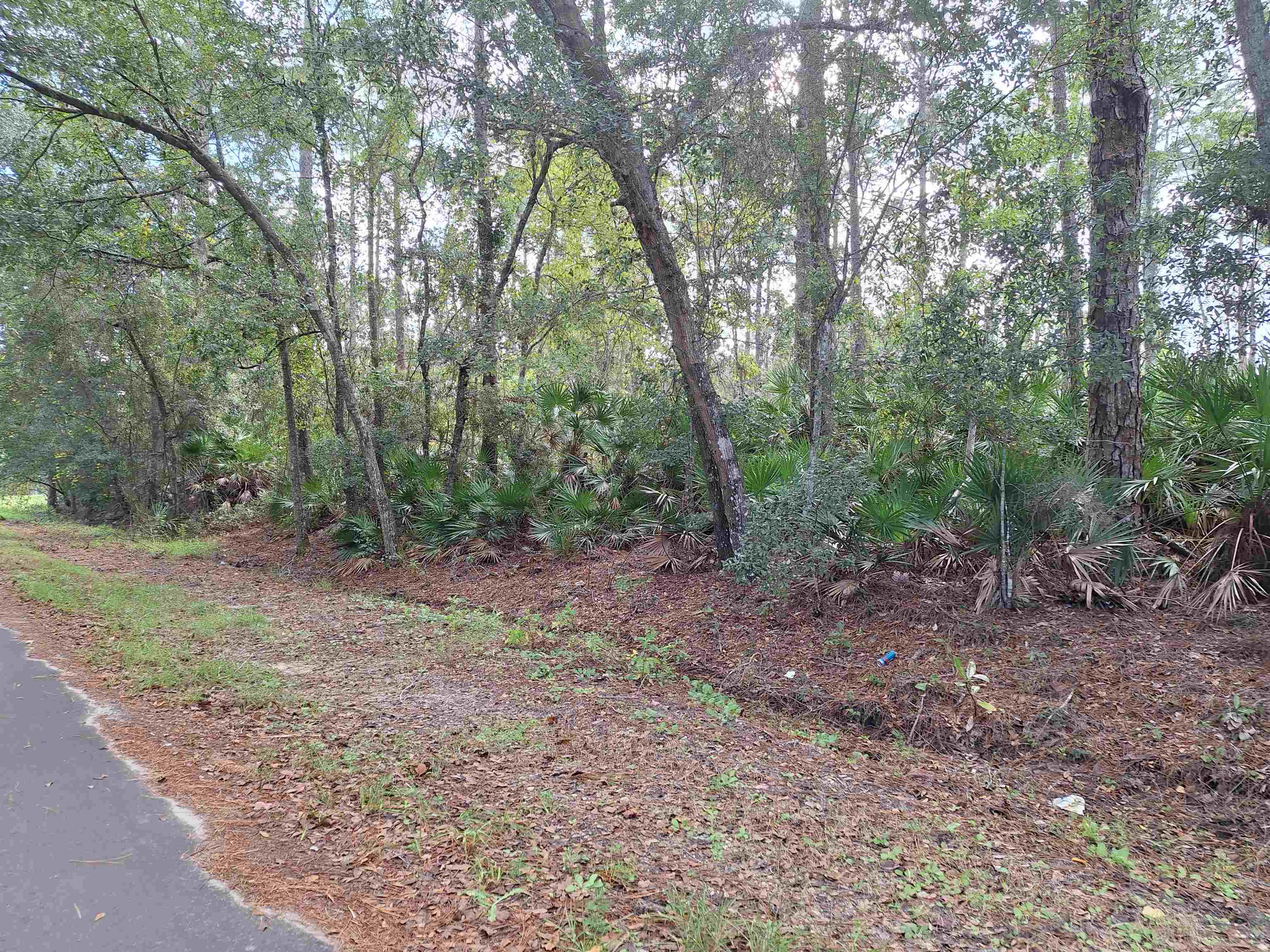 Image 3 of 8 For 201 Pineway West Ave