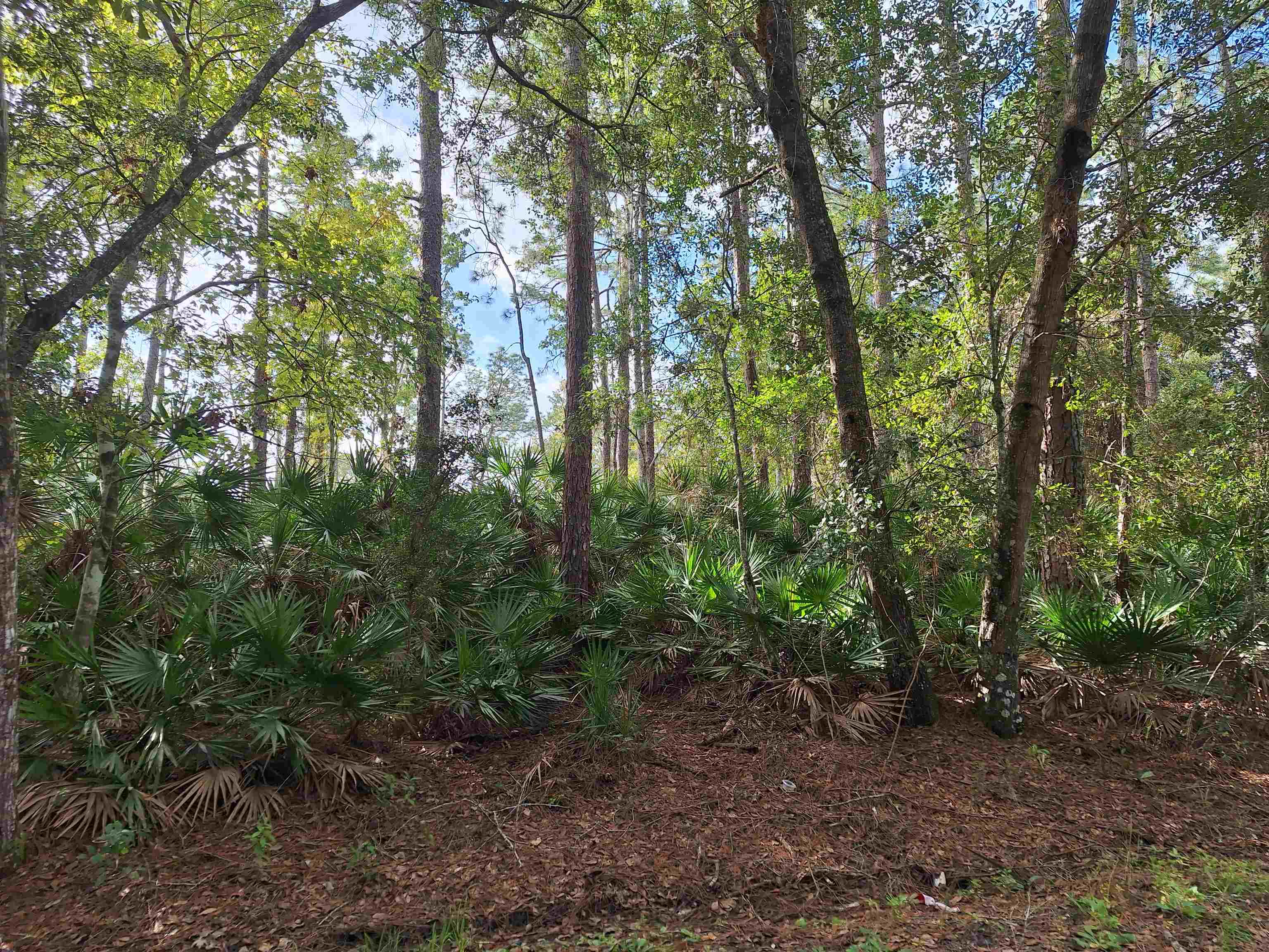 Image 5 of 8 For 201 Pineway West Ave