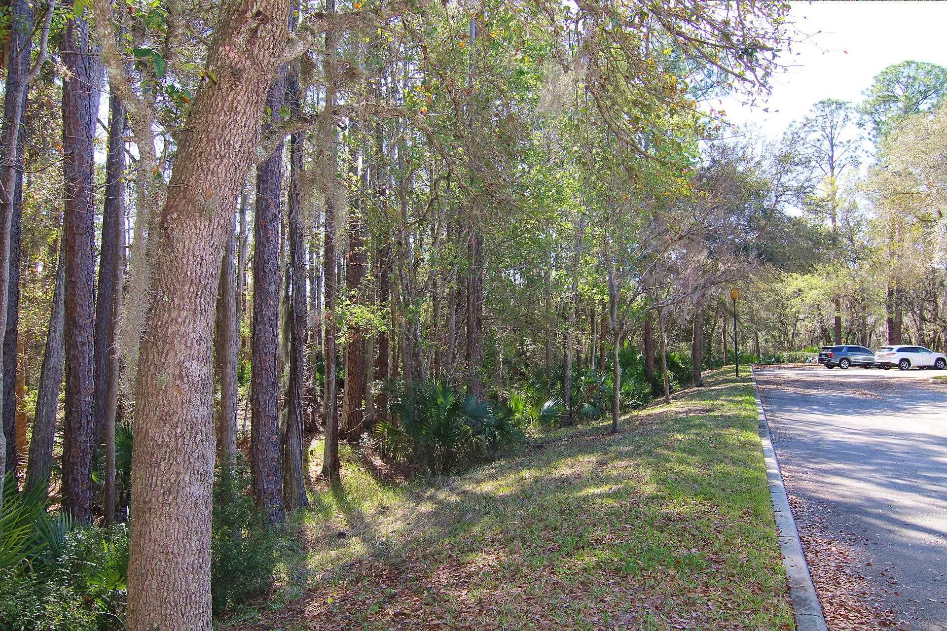 Image 34 of 40 For 115 Pine Hollow Trl E 108