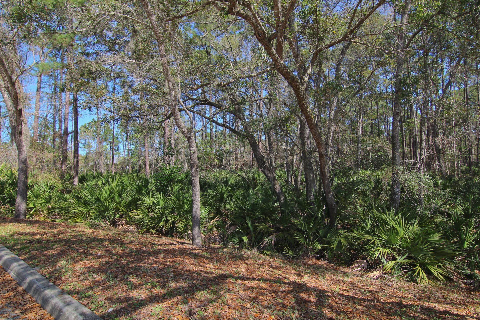 Image 36 of 40 For 115 Pine Hollow Trl E 108