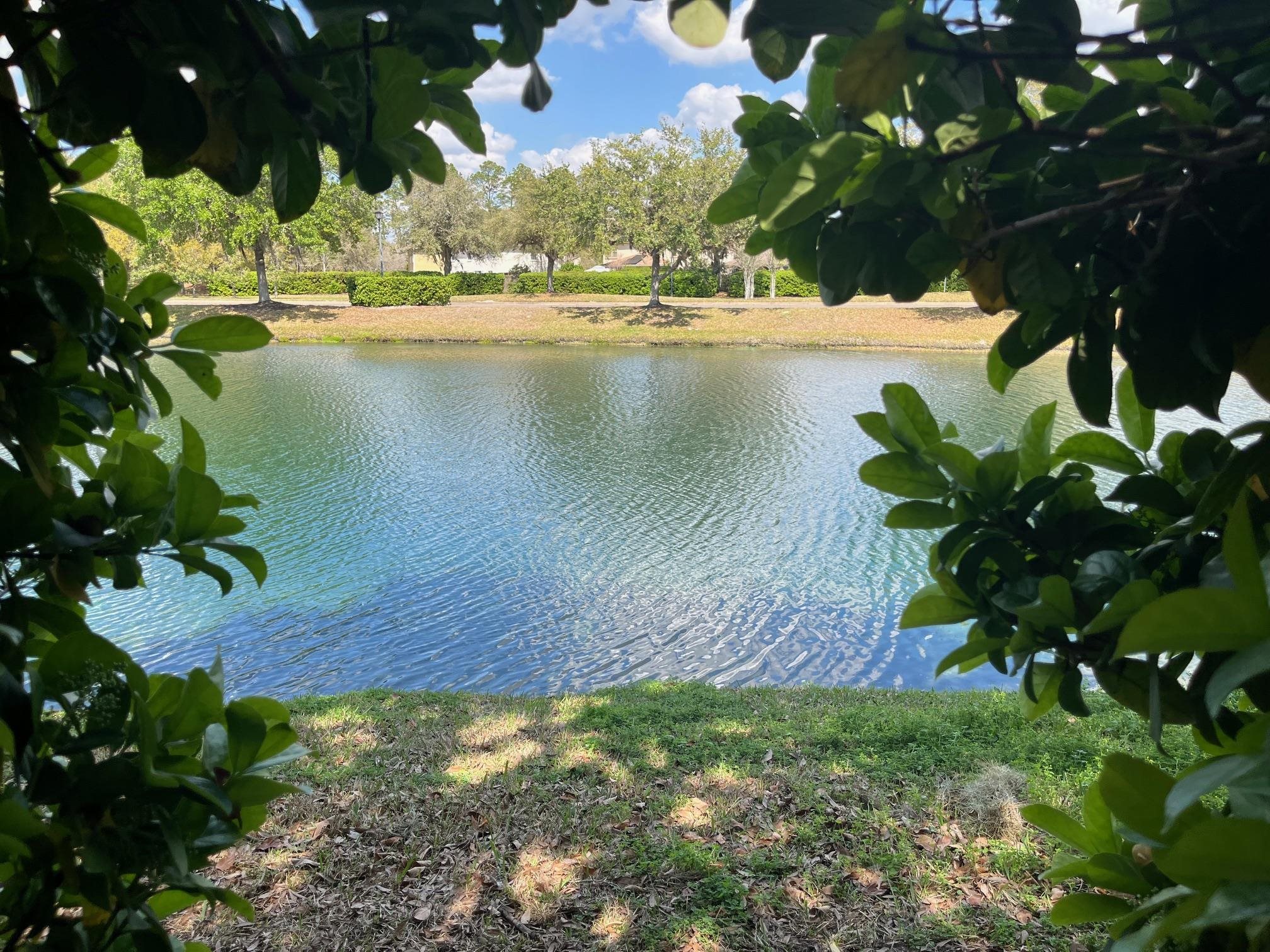 Image 2 of 13 For 1004 Enon Court W