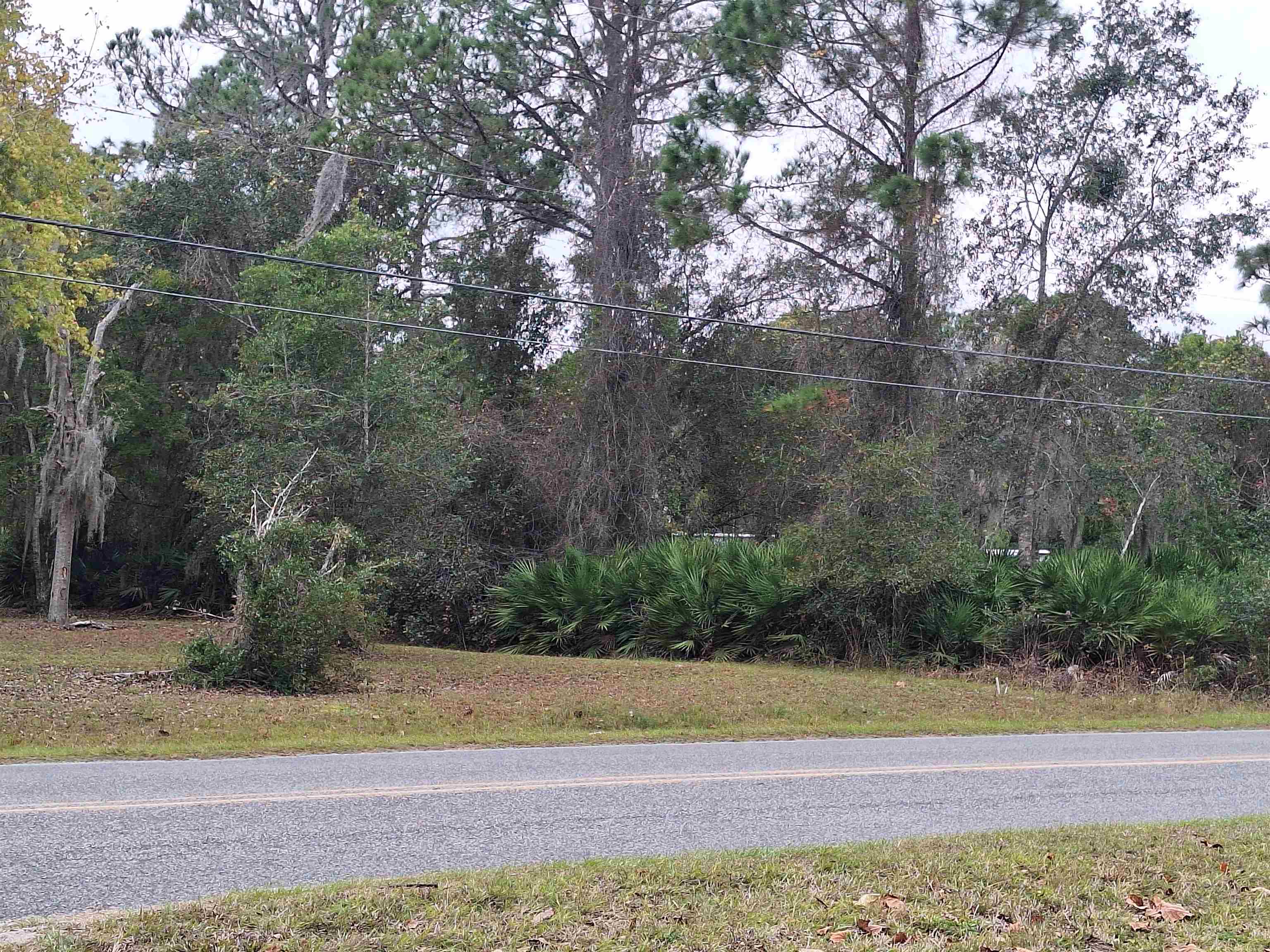 Image 5 of 7 For 203 Crescent Lake Shore Dr