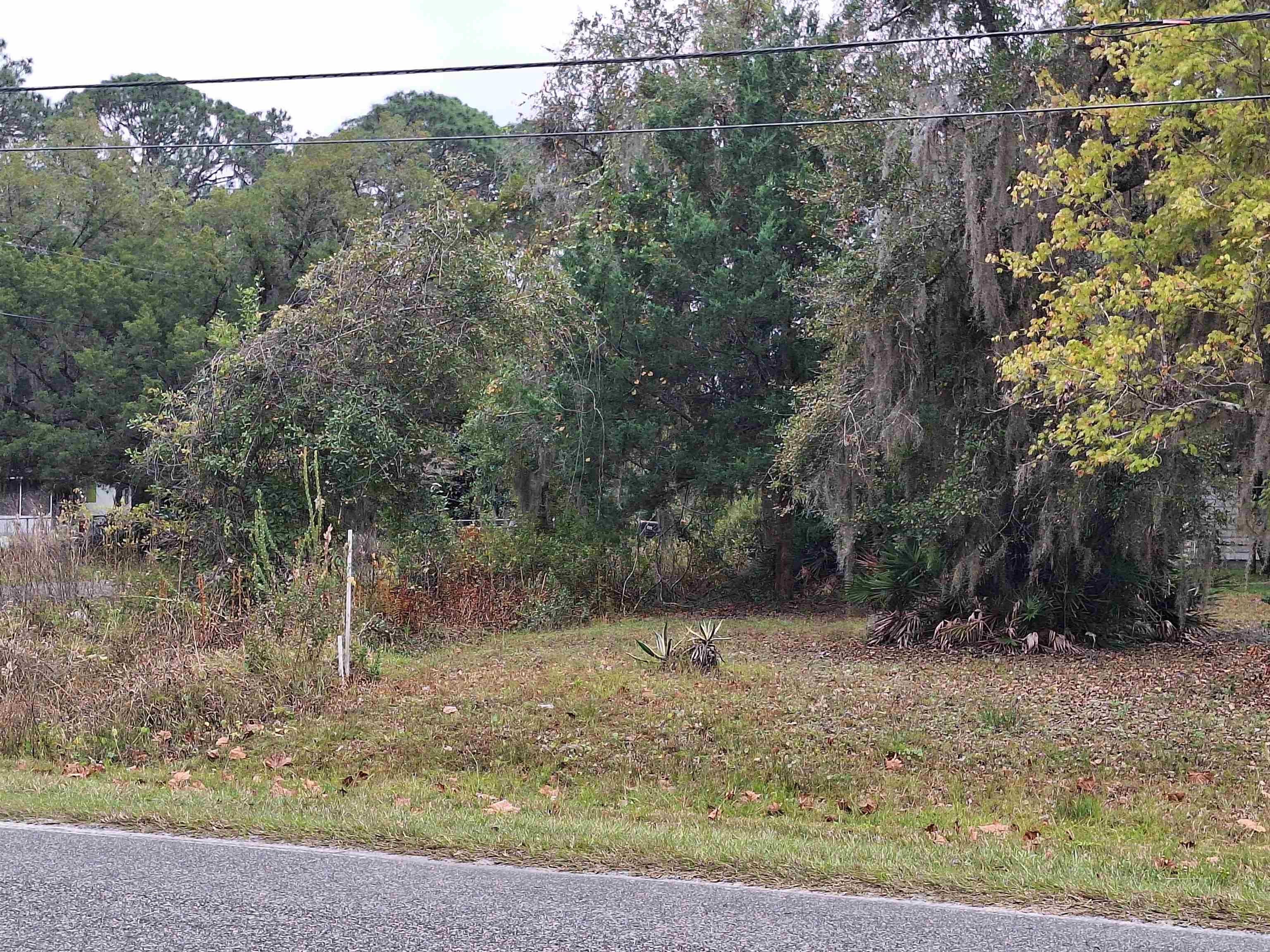 Image 6 of 7 For 203 Crescent Lake Shore Dr