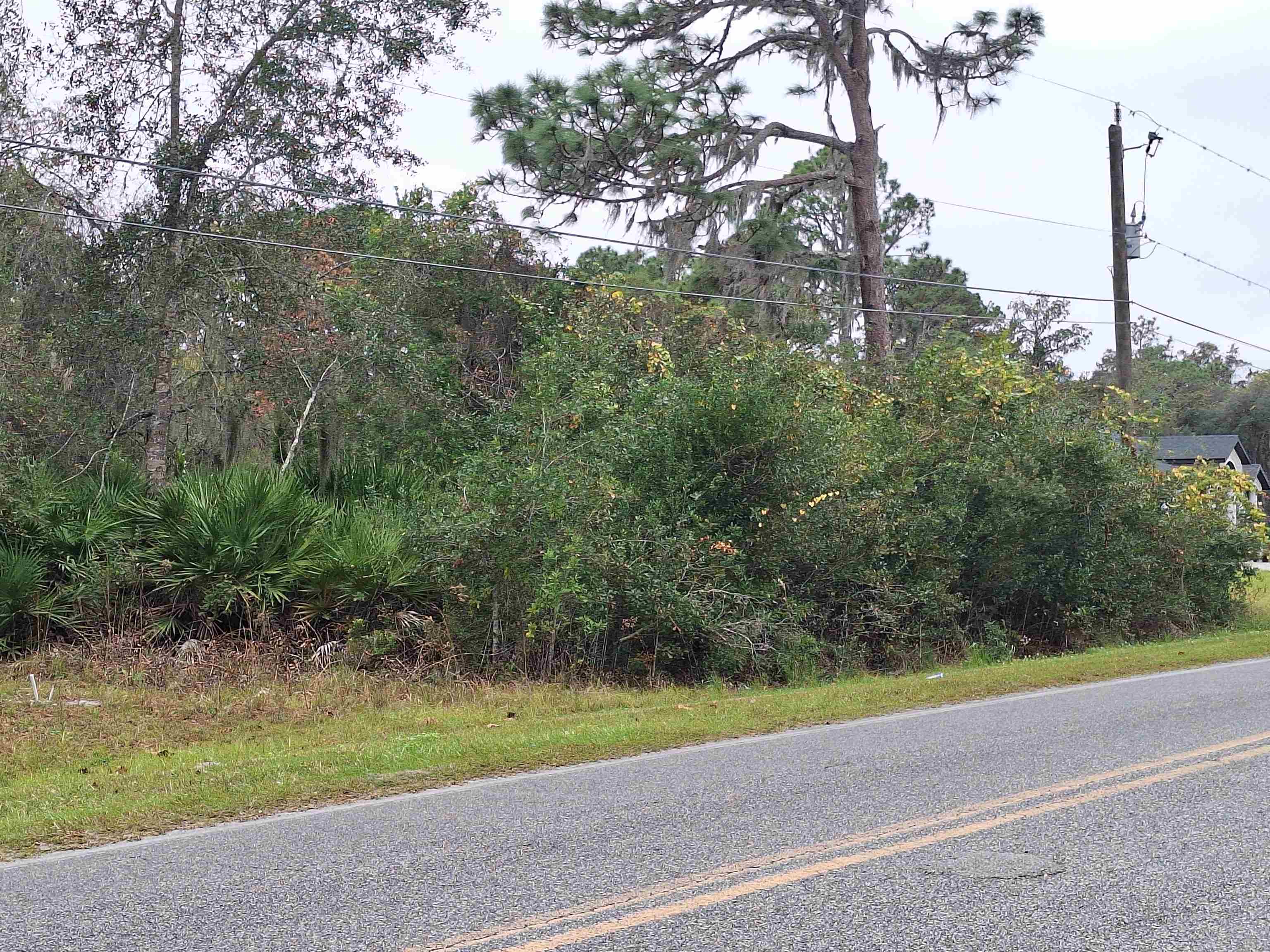 Image 7 of 7 For 203 Crescent Lake Shore Dr