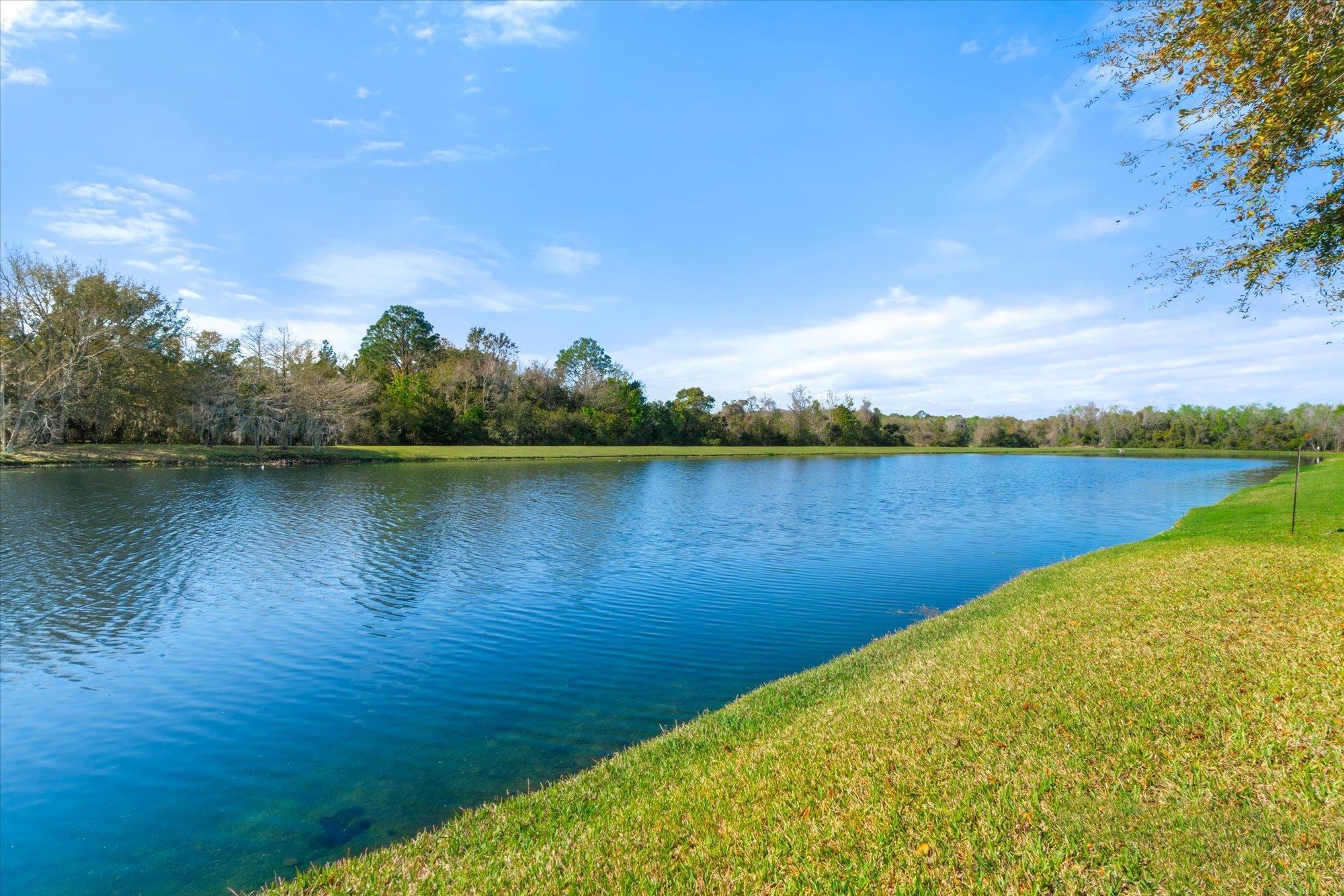 Image 40 of 47 For 519 Cabernet Place