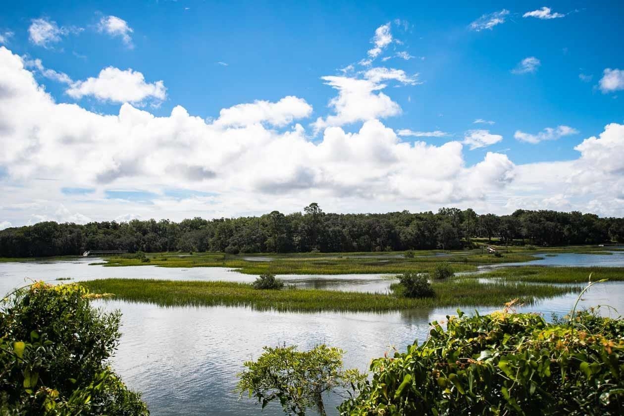 Image 21 of 27 For Terrapin Rd Lots 496 & 497