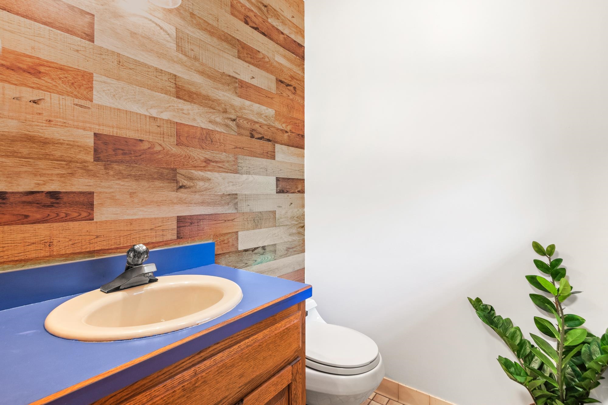 Image 4 of 48 For 3649 Lone Wolf Trl