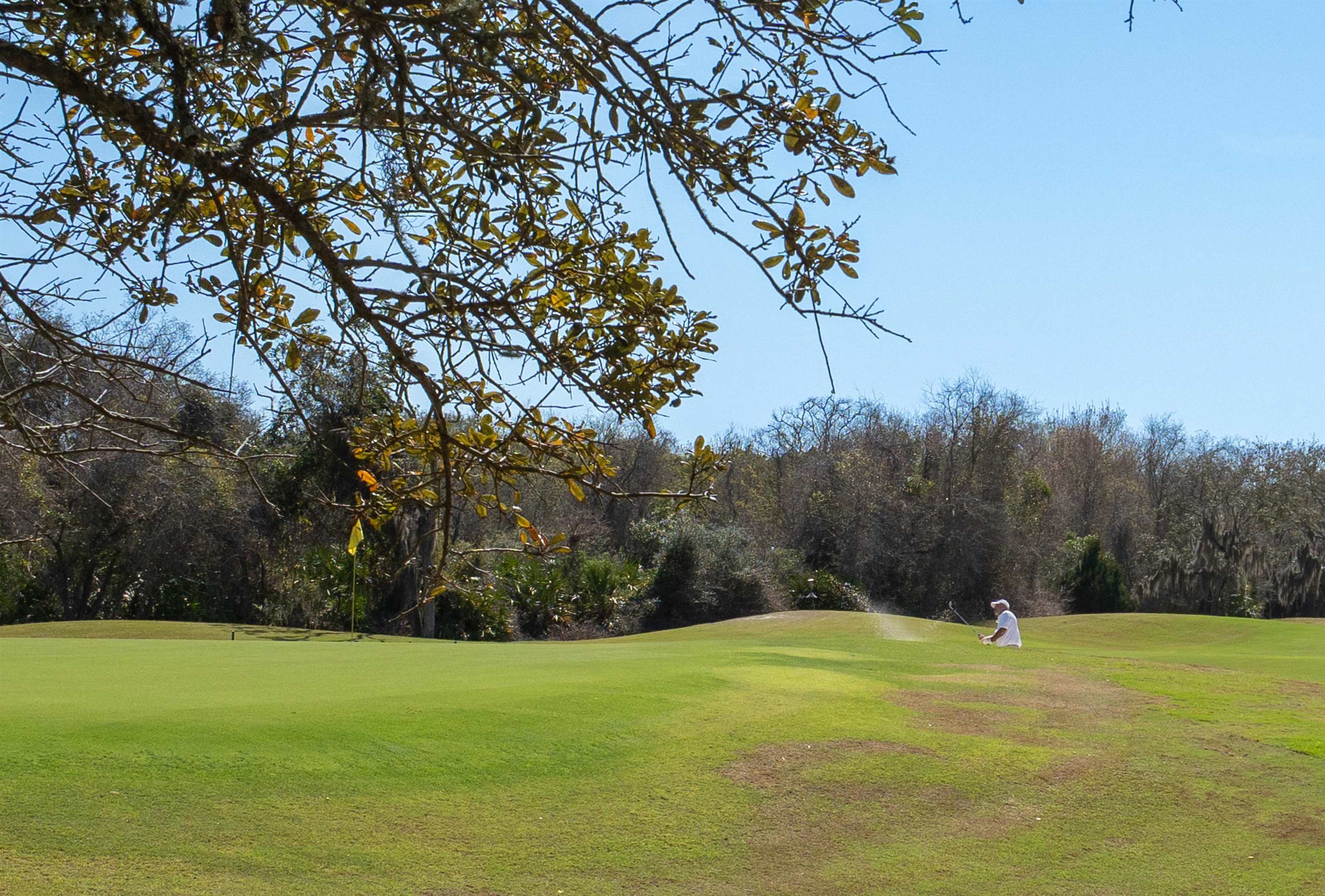 Image 83 of 98 For 126 Marshside Dr