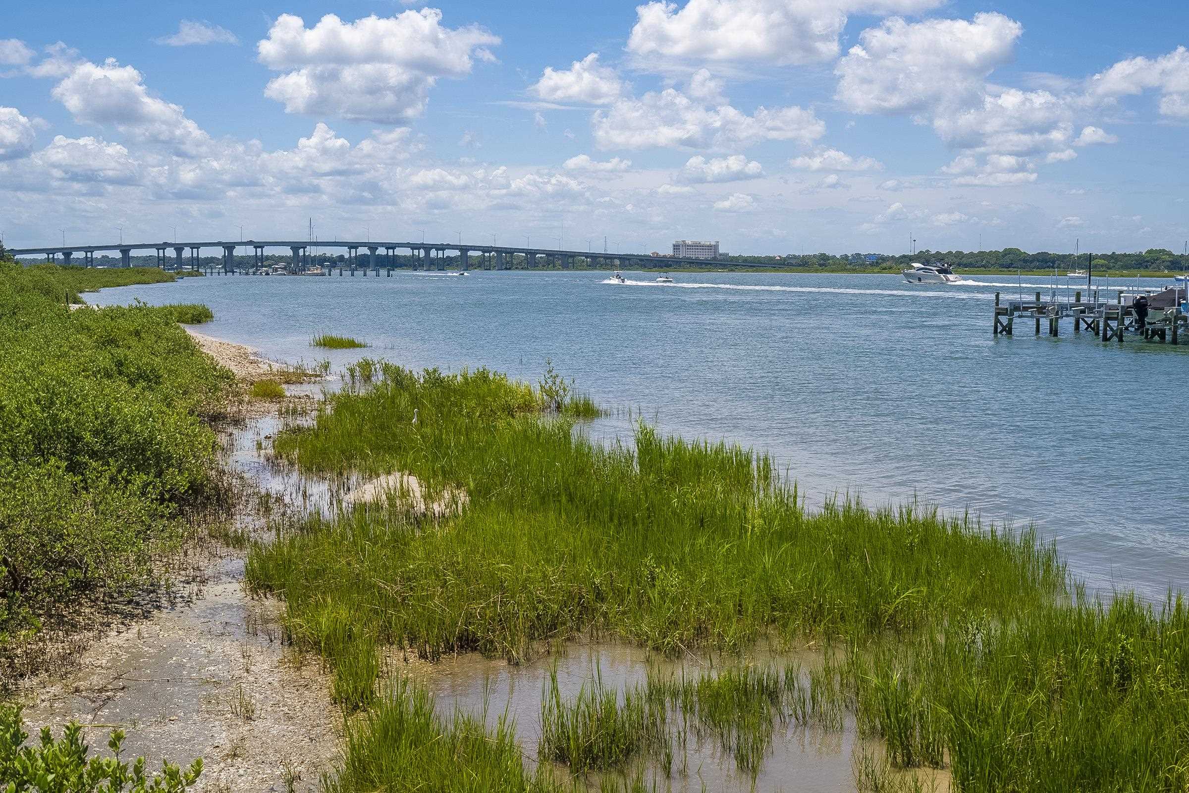 Image 51 of 53 For 113 Spoonbill Point Ct