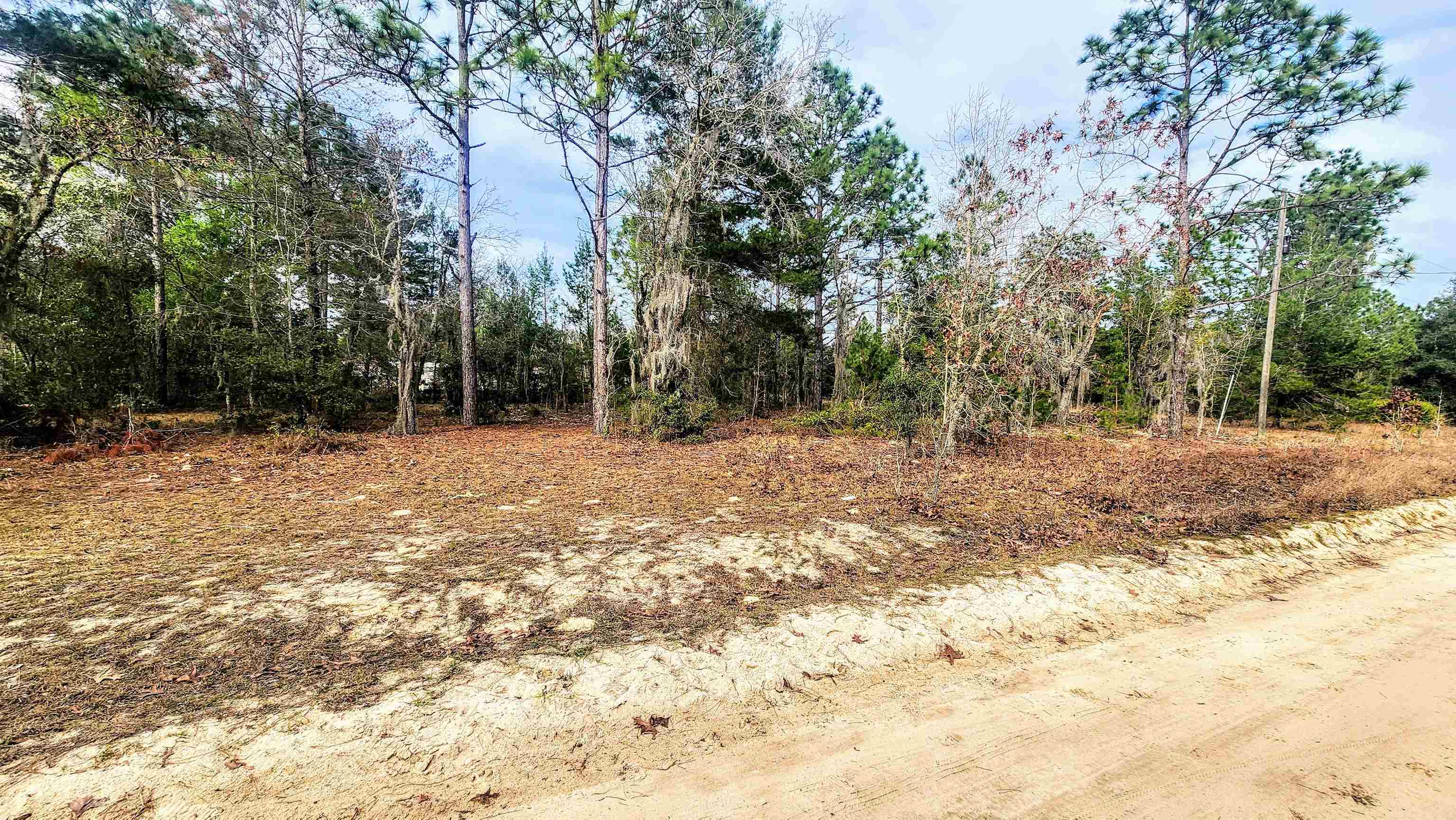 Details for Caribbean St, Interlachen, FL 32148