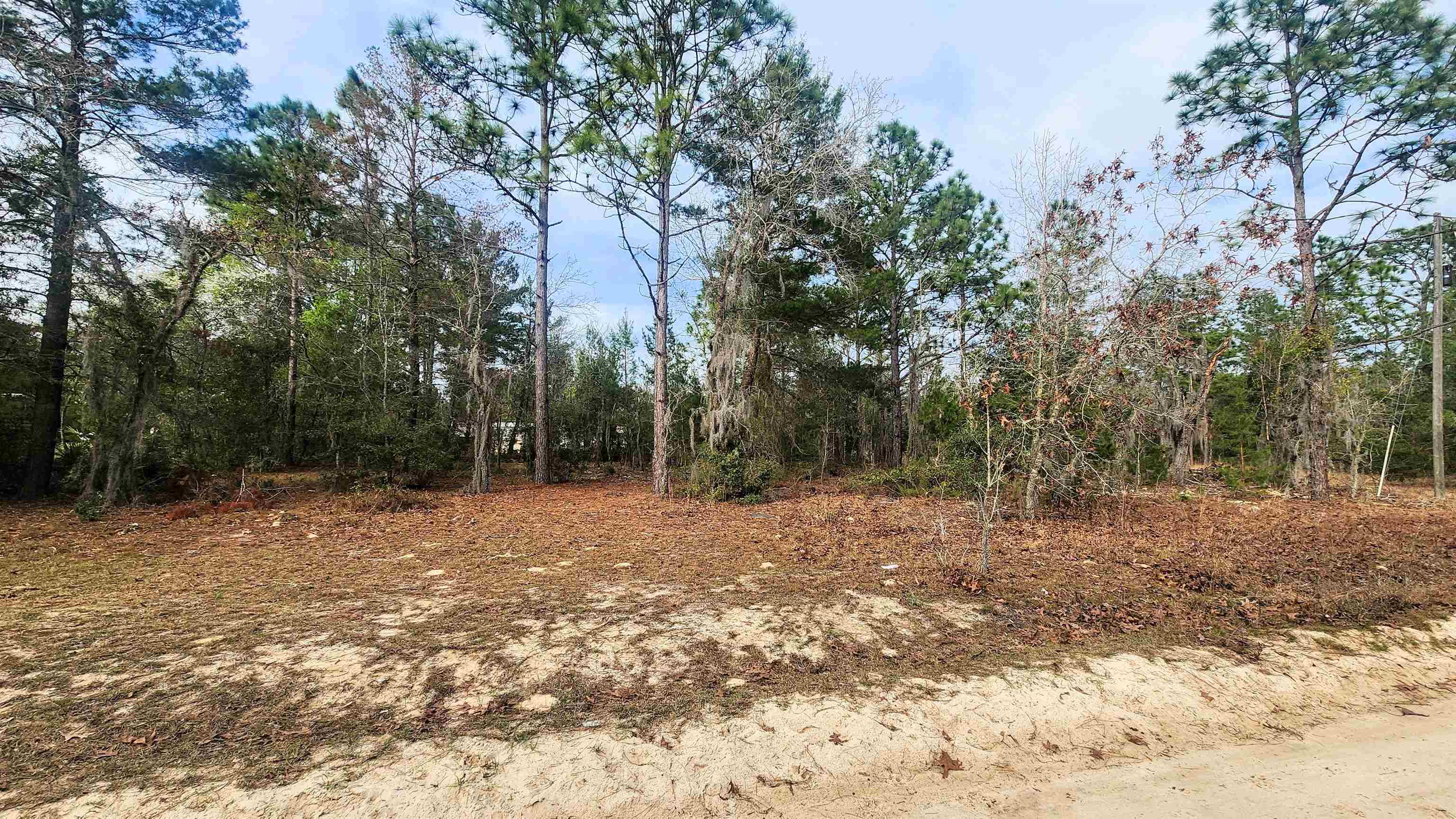 Image 2 of 2 For Caribbean St