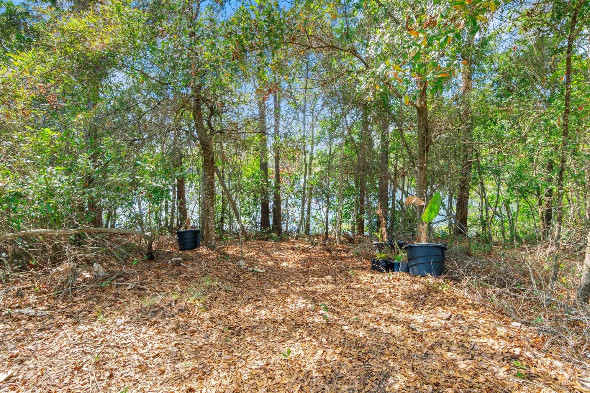 Image 39 of 57 For 13 Willow Street