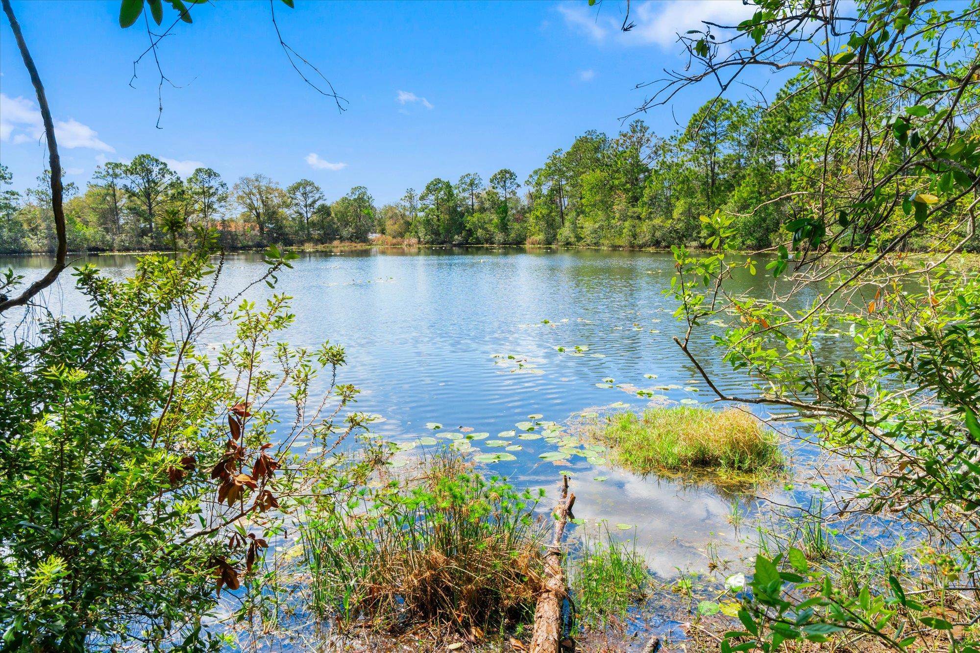 Image 40 of 57 For 13 Willow Street