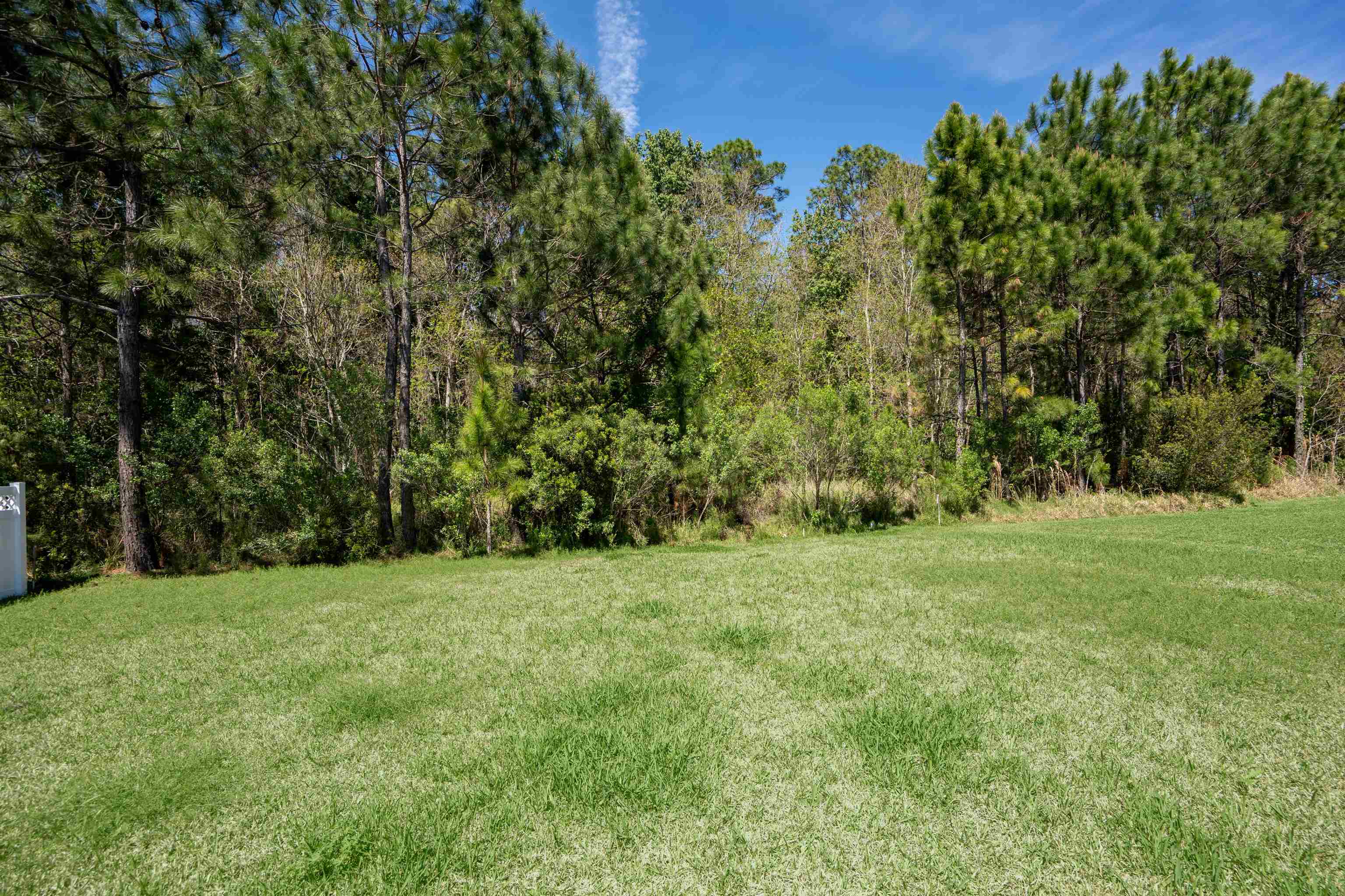 Image 46 of 49 For 207 Archstone Way