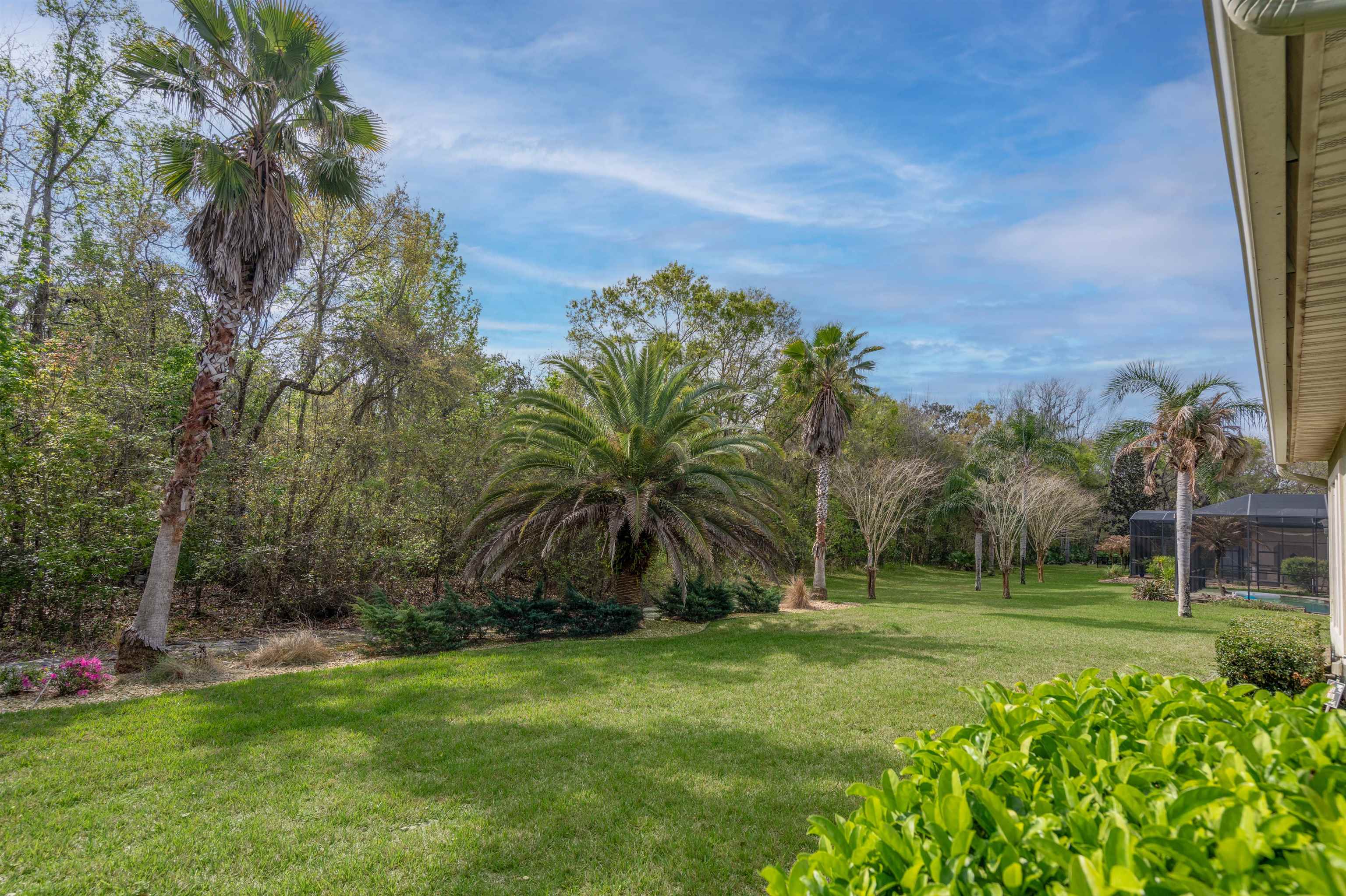 Image 51 of 77 For 3156 Trout Creek Ct